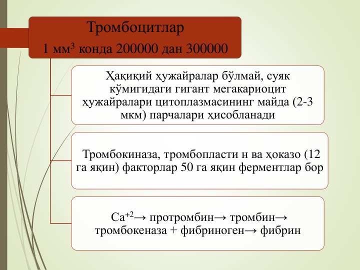 Тромбоцитлар
1 мм3 конда 200000 дан 300000
Ҳақиқий ҳужайралар бўлмай, суяк 
кўмигидаги гигант мегакариоцит
ҳужайралари цитоплазмасининг майда (2-3 
мкм) парчалари ҳисобланади
Тромбокиназа, тромбопласти н ва ҳоказо (12 
га яқин) факторлар 50 га яқин ферментлар бор
Са+2→ протромбин→ тромбин→ 
тромбокеназа + фибриноген→ фибрин
