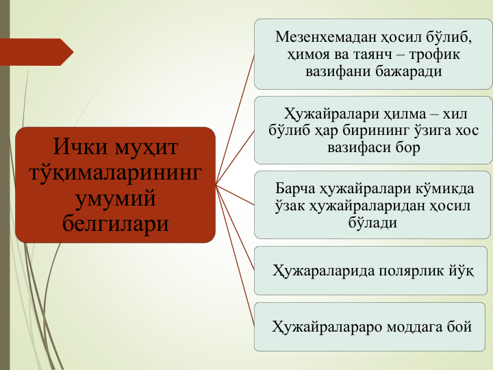 Ички муҳит 
тўқималарининг 
умумий
белгилари
Мезенхемадан ҳосил бўлиб, 
ҳимоя ва таянч – трофик 
вазифани бажаради
Ҳужайралари ҳилма – хил 
бўлиб ҳар бирининг ўзига хос
вазифаси бор
Барча ҳужайралари кўмикда
ўзак ҳужайраларидан ҳосил 
бўлади
Ҳужараларида полярлик йўқ
Ҳужайралараро моддага бой
