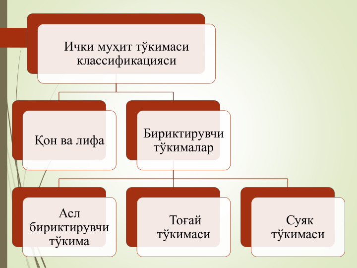 Ички муҳит тўкимаси
классификацияси
Қон ва лифа 
Бириктирувчи
тўкималар
Асл
бириктирувчи
тўкима
Тоғай 
тўкимаси
Суяк
тўкимаси
