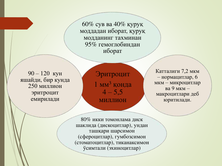 Эритроцит 
1 мм3 қонда                          
4 – 5,5   
миллион  
60% сув ва 40% қуруқ 
моддадан иборат, қуруқ 
модданинг тахминан
95% гемоглобиндан
иборат
Катталиги 7,2 мкм 
– нормацитлар, 6 
мкм – микроцитлар
ва 9 мкм –
макроцитлари деб
юритилади. 
80% икки томонлама диск 
шаклида (дискоцитлар), ундан
ташқари шарсимон
(сфероцитлар), гумбозсимон
(стоматоцитлар), тиканаксимон
ўсимтали (эхиноцитлар)
90 – 120  кун 
яшайди, бир кунда
250 миллион 
эритроцит 
емирилади
