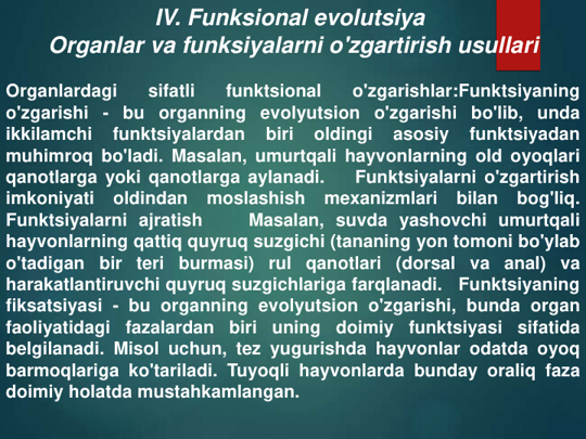 IV. Funksional evolutsiya 
Organlar va funksiyalarni o'zgartirish usullari
Organlardagi
sifatli
funktsional
o'zgarishlar:Funktsiyaning
o'zgarishi - bu organning evolyutsion o'zgarishi bo'lib, unda
ikkilamchi
funktsiyalardan
biri
oldingi
asosiy
funktsiyadan
muhimroq bo'ladi. Masalan, umurtqali hayvonlarning old oyoqlari
qanotlarga yoki qanotlarga aylanadi.
Funktsiyalarni o'zgartirish
imkoniyati
oldindan
moslashish
mexanizmlari
bilan
bog'liq.
Funktsiyalarni ajratish
Masalan, suvda yashovchi umurtqali
hayvonlarning qattiq quyruq suzgichi (tananing yon tomoni bo'ylab
o'tadigan
bir teri
burmasi)
rul qanotlari
(dorsal
va anal)
va
harakatlantiruvchi quyruq suzgichlariga farqlanadi.
Funktsiyaning
fiksatsiyasi - bu organning evolyutsion o'zgarishi, bunda organ
faoliyatidagi
fazalardan
biri
uning
doimiy
funktsiyasi
sifatida
belgilanadi. Misol uchun, tez yugurishda hayvonlar odatda oyoq
barmoqlariga ko'tariladi. Tuyoqli hayvonlarda bunday oraliq faza
doimiy holatda mustahkamlangan.
