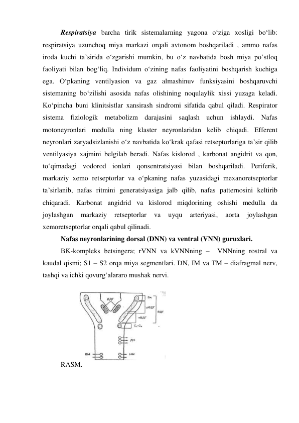  
 
Respiratsiya barcha tirik sistemalarning yagona o‘ziga xosligi bo‘lib: 
respiratsiya uzunchoq miya markazi orqali avtonom boshqariladi , ammo nafas 
iroda kuchi ta’sirida o‘zgarishi mumkin, bu o‘z navbatida bosh miya po‘stloq 
faoliyati bilan bog‘liq. Individum o‘zining nafas faoliyatini boshqarish kuchiga 
ega. O‘pkaning ventilyasion va gaz almashinuv funksiyasini boshqaruvchi 
sistemaning bo‘zilishi asosida nafas olishining noqulaylik xissi yuzaga keladi. 
Ko‘pincha buni klinitsistlar xansirash sindromi sifatida qabul qiladi. Respirator 
sistema fiziologik metabolizm darajasini saqlash uchun ishlaydi. Nafas 
motoneyronlari medulla ning klaster neyronlaridan kelib chiqadi. Efferent 
neyronlari zaryadsizlanishi o‘z navbatida ko‘krak qafasi retseptorlariga ta’sir qilib 
ventilyasiya xajmini belgilab beradi. Nafas kislorod , karbonat angidrit va qon, 
to‘qimadagi vodorod ionlari qonsentratsiyasi bilan boshqariladi. Periferik, 
markaziy xemo retseptorlar va o‘pkaning nafas yuzasidagi mexanoretseptorlar 
ta’sirlanib, nafas ritmini generatsiyasiga jalb qilib, nafas patternosini keltirib 
chiqaradi. Karbonat angidrid va kislorod miqdorining oshishi medulla da 
joylashgan 
markaziy 
retseptorlar 
va 
uyqu 
arteriyasi, 
aorta 
joylashgan 
xemoretseptorlar orqali qabul qilinadi.  
Nafas neyronlarining dorsal (DNN) va ventral (VNN) guruxlari. 
BK-kompleks betsingera; rVNN va kVNNning –  VNNning rostral va 
kaudal qismi; S1 – S2 orqa miya segmentlari. DN, IM va TM – diafragmal nerv, 
tashqi va ichki qovurg‘alararo mushak nervi. 
RASM. 
 
 
