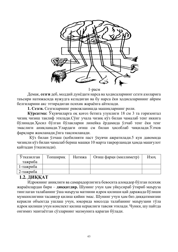 43 
 
                     
 
1-расм 
Демак, сезги деб, моддий дунёдаги нарса ва ҳодисаларнинг сезги азоларига 
таъсири натижасида вужудга келадиган ва бу нарса ёки ҳодисаларининг айрим 
белгиларини акс эттирадиган психик жараёнга айтилади. 
1. Сезги. Сезгиларнинг ривожланишда машиқларнинг роли. 
Кўрсатма: Ўқувчиларга оқ қоғоз бетига узунлиги 18 см 3 та горизонтал 
чизиқ чизиш таклиф этилади.Сўнг учала чизиқ кўз билан чамалаб тенг иккига 
бўлинади.Ҳосил бўлган бўлакларни линейка ёрдамида ўлчаб тенг ёки тенг 
эмаслиги аниқланади.Улардаги оғиш см билан ҳисоблаб чиқилади.Ўлчов 
фарқлари жамланади,ўнга тақсимланади. 
            Кўз билан ўлчаш (қобилияти паст ўқувчи ажратилади.5 кун давомида 
чизиқли кўз билан чамалаб бериш машқи 10 марта такрорланади ҳамда машғулот 
қайтадан ўтказилади). 
 
Ўтказилган 
тажриба 
Топшириқ 
Натижа 
Оғиш фарқи (миллиметр) 
Изоҳ 
1-тажриба 
 
 
 
 
2-тажриба 
 
 
 
 
  1.2. ДИҚҚАТ 
Идрокнинг аниқлиги ва самарадорлигига бевосита алоқадор бўлган психик 
жараёнлардан бири – диққатдир. Шунинг учун ҳам уйқусираб ўтириб маъруза 
тинглаган талабанинг ўша маъруза матнини идрок қилиши қай даражада бўлиши 
мумкинлигини тасаввур қилиш қийин эмас. Шунинг учун ҳам биз диққатимизни 
керакли объектда ушлаш учун, юқорида мисолда талабанинг маърузани тўла 
идрок қилиши учун конспект қилиш кераклиги тавсия этилади. Чунки, шу пайтда 
онгимиз эшитаётган сўзларнинг мазмунига қараган бўлади. 
