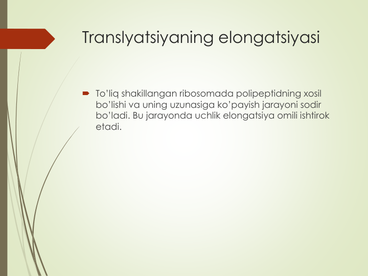 Translyatsiyaning elongatsiyasi
 To’liq shakillangan ribosomada polipeptidning xosil
bo’lishi va uning uzunasiga ko’payish jarayoni sodir
bo’ladi. Bu jarayonda uchlik elongatsiya omili ishtirok
etadi.
