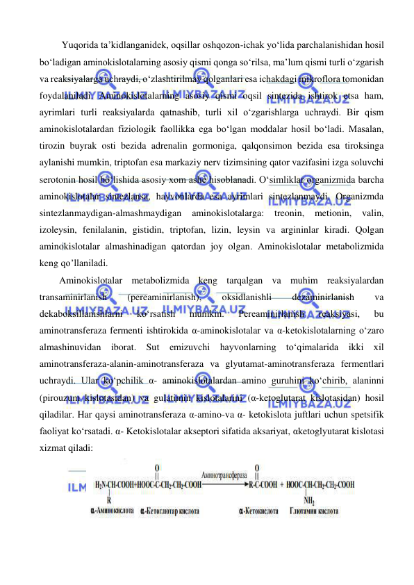  
 
 Yuqorida ta’kidlanganidek, oqsillar oshqozon-ichak yo‘lida parchalanishidan hosil 
bo‘ladigan aminokislotalarning asosiy qismi qonga so‘rilsa, ma’lum qismi turli o‘zgarish 
va reaksiyalarga uchraydi, o‘zlashtirilmay qolganlari esa ichakdagi mikroflora tomonidan 
foydalaniladi. Aminokislotalarning asosiy qismi oqsil sintezida ishtirok etsa ham, 
ayrimlari turli reaksiyalarda qatnashib, turli xil o‘zgarishlarga uchraydi. Bir qism 
aminokislotalardan fiziologik faollikka ega bo‘lgan moddalar hosil bo‘ladi. Masalan, 
tirozin buyrak osti bezida adrenalin gormoniga, qalqonsimon bezida esa tiroksinga 
aylanishi mumkin, triptofan esa markaziy nerv tizimsining qator vazifasini izga soluvchi 
serotonin hosil bo‘lishida asosiy xom ashѐ hisoblanadi. O‘simliklar organizmida barcha 
aminokislotalar sintezlansa, hayvonlarda esa ayrimlari sintezlanmaydi. Organizmda 
sintezlanmaydigan-almashmaydigan 
aminokislotalarga: 
treonin, 
metionin, valin, 
izoleysin, fenilalanin, gistidin, triptofan, lizin, leysin va argininlar kiradi. Qolgan 
aminokislotalar almashinadigan qatordan joy olgan. Aminokislotalar metabolizmida 
keng qo’llaniladi. 
Aminokislotalar metabolizmida keng tarqalgan va muhim reaksiyalardan 
transaminirlanish 
(pereaminirlanish), 
oksidlanishli 
dezaminirlanish 
va 
dekaboksillanishlarni 
ko‘rsatish 
mumkin. 
Pereaminirlanish 
reaksiyasi, 
bu 
aminotransferaza fermenti ishtirokida α-aminokislotalar va α-ketokislotalarning o‘zaro 
almashinuvidan iborat. Sut emizuvchi hayvonlarning to‘qimalarida ikki xil 
aminotransferaza-alanin-aminotransferaza va glyutamat-aminotransferaza fermentlari 
uchraydi. Ular ko‘pchilik α- aminokislotalardan amino guruhini ko‘chirib, alaninni 
(pirouzum kislotasidan) va gulatimin kislotalarini (α-ketoglutarat kislotasidan) hosil 
qiladilar. Har qaysi aminotransferaza α-amino-va α- ketokislota juftlari uchun spetsifik 
faoliyat ko‘rsatadi. α- Ketokislotalar akseptori sifatida aksariyat, αketoglyutarat kislotasi 
xizmat qiladi:  
 
