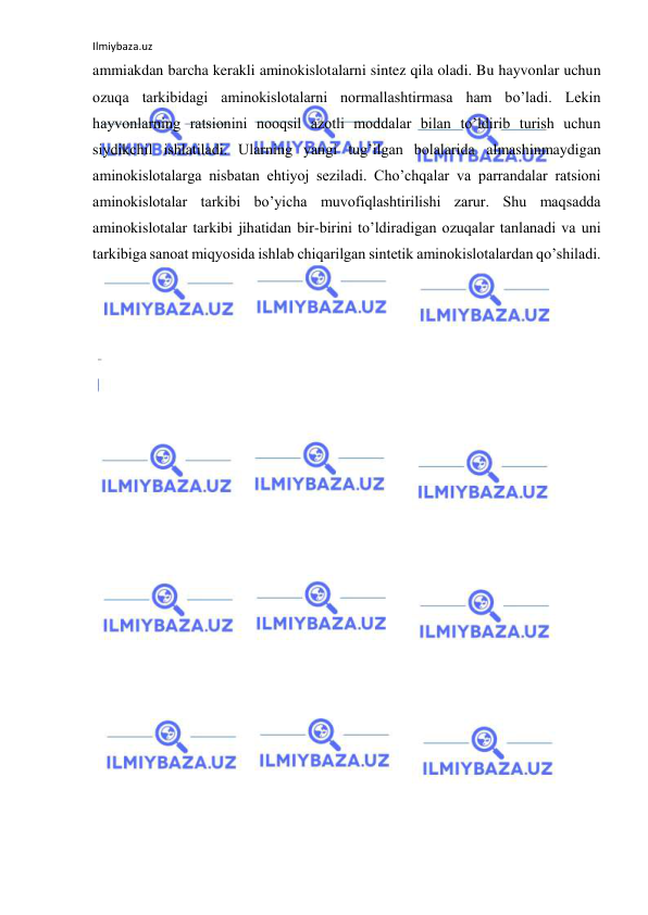 Ilmiybaza.uz 
 
ammiakdan barcha kerakli aminokislotalarni sintez qila oladi. Bu hayvonlar uchun 
ozuqa tarkibidagi aminokislotalarni normallashtirmasa ham bo’ladi. Lekin 
hayvonlarning ratsionini nooqsil azotli moddalar bilan to’ldirib turish uchun 
siydikchil ishlatiladi. Ularning yangi tug’ilgan bolalarida almashinmaydigan 
aminokislotalarga nisbatan ehtiyoj seziladi. Cho’chqalar va parrandalar ratsioni 
aminokislotalar tarkibi bo’yicha muvofiqlashtirilishi zarur. Shu maqsadda 
aminokislotalar tarkibi jihatidan bir-birini to’ldiradigan ozuqalar tanlanadi va uni 
tarkibiga sanoat miqyosida ishlab chiqarilgan sintetik aminokislotalardan qo’shiladi.  
  
 
