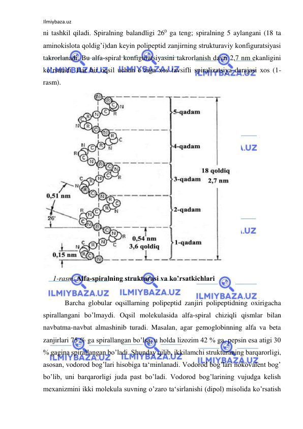 Ilmiybaza.uz 
 
ni tashkil qiladi. Spiralning balandligi 260 ga teng; spiralning 5 aylangani (18 ta 
aminokislota qoldig’i)dan keyin polipeptid zanjirning strukturaviy konfiguratsiyasi 
takrorlanadi. Bu alfa-spiral konfiguratsiyasini takrorlanish davri 2,7 nm ekanligini 
ko’rsatadi. Har bir oqsil uchun o’ziga xos tavsifli spiralizatsiya darajasi xos (1-
rasm).  
  
1-rasm. Alfa-spiralning strukturasi va ko’rsatkichlari  
  
Barcha globular oqsillarning polipeptid zanjiri polipeptidning oxirigacha 
spirallangani bo’lmaydi. Oqsil molekulasida alfa-spiral chiziqli qismlar bilan 
navbatma-navbat almashinib turadi. Masalan, agar gemoglobinning alfa va beta 
zanjirlari 75 % ga spirallangan bo’lsa, u holda lizozim 42 % ga, pepsin esa atigi 30 
% gagina spirallangan bo’ladi. Shunday qilib, ikkilamchi strukturaning barqarorligi, 
asosan, vodorod bog’lari hisobiga ta‘minlanadi. Vodorod bog’lari nokovalent bog’ 
bo’lib, uni barqarorligi juda past bo’ladi. Vodorod bog’larining vujudga kelish 
mexanizmini ikki molekula suvning o’zaro ta‘sirlanishi (dipol) misolida ko’rsatish 
