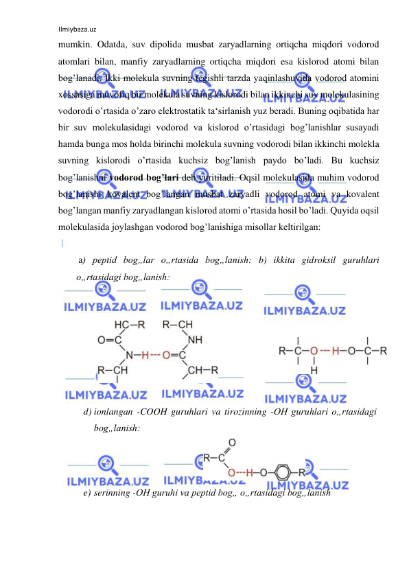 Ilmiybaza.uz 
 
mumkin. Odatda, suv dipolida musbat zaryadlarning ortiqcha miqdori vodorod 
atomlari bilan, manfiy zaryadlarning ortiqcha miqdori esa kislorod atomi bilan 
bog’lanadi. Ikki molekula suvning tegishli tarzda yaqinlashuvida vodorod atomini 
xossasiga muvofiq bir molekula suvning kislorodi bilan ikkinchi suv molekulasining 
vodorodi o’rtasida o’zaro elektrostatik ta‘sirlanish yuz beradi. Buning oqibatida har 
bir suv molekulasidagi vodorod va kislorod o’rtasidagi bog’lanishlar susayadi 
hamda bunga mos holda birinchi molekula suvning vodorodi bilan ikkinchi molekla 
suvning kislorodi o’rtasida kuchsiz bog’lanish paydo bo’ladi. Bu kuchsiz 
bog’lanishni vodorod bog’lari deb yuritiladi. Oqsil molekulasida muhim vodorod 
bog’lanishi kovalent bog’langan musbat zaryadli vodorod atomi va kovalent 
bog’langan manfiy zaryadlangan kislorod atomi o’rtasida hosil bo’ladi. Quyida oqsil 
molekulasida joylashgan vodorod bog’lanishiga misollar keltirilgan:  
  
 a) peptid bog„lar o„rtasida bog„lanish: b) ikkita gidroksil guruhlari 
o„rtasidagi bog„lanish:  
  
    
  
  
 
 
  
d) ionlangan -COOH guruhlari va tirozinning -OH guruhlari o„rtasidagi 
bog„lanish:  
 
e) serinning -OH guruhi va peptid bog„ o„rtasidagi bog„lanish  
  
