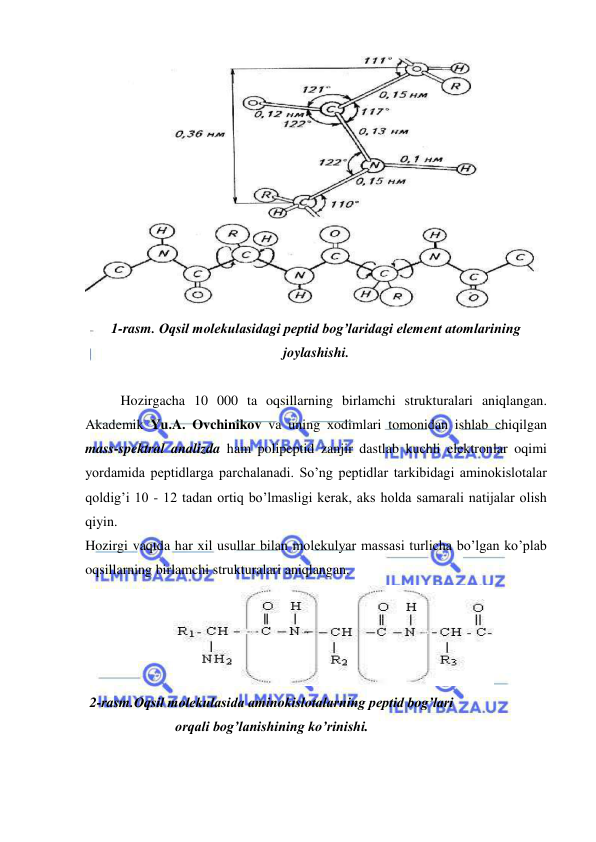  
 
 
1-rasm. Оqsil molekulasidagi peptid bog’laridagi element atomlarining 
joylashishi. 
 
Hozirgacha 10 000 ta oqsillarning birlamchi strukturalari aniqlangan. 
Akademik Yu.A. Оvchinikov va uning хodimlari tomonidan ishlab chiqilgan 
mass-spektral analizda ham polipeptid zanjir dastlab kuchli elektronlar oqimi 
yordamida peptidlarga parchalanadi. So’ng peptidlar tarkibidagi aminokislotalar 
qoldig’i 10 - 12 tadan ortiq bo’lmasligi kerak, aks holda samarali natijalar olish 
qiyin.  
Hozirgi vaqtda har хil usullar bilan molekulyar massasi turlicha bo’lgan ko’plab 
oqsillarning birlamchi strukturalari aniqlangan.  
  
2-rasm.Оqsil molekulasida aminokislotalarning peptid bog’lari 
orqali bog’lanishining ko’rinishi. 
