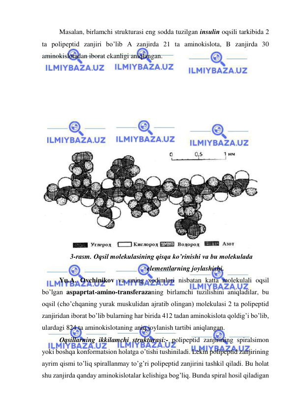  
 
Masalan, birlamchi strukturasi eng sodda tuzilgan insulin oqsili tarkibida 2 
ta polipeptid zanjiri bo’lib A zanjirda 21 ta aminokislota, B zanjirda 30 
aminokislotadan iborat ekanligi aniqlangan.  
 
 
 
 
 
 
 
 
3-rasm. Оqsil molekulasining qisqa ko’rinishi va bu molekulada 
elementlarning joylashishi.  
Yu.A. Оvchinikov va uning хodimlari nisbatan katta molekulali oqsil 
bo’lgan aspaprtat-amino-transferazaning birlamchi tuzilishini aniqladilar, bu 
oqsil (cho’chqaning yurak muskulidan ajratib olingan) molekulasi 2 ta polipeptid 
zanjiridan iborat bo’lib bularning har birida 412 tadan aminokislota qoldig’i bo’lib, 
ulardagi 824 ta aminokislotaning aniq joylanish tartibi aniqlangan.  
Оqsillarning ikkilamchi strukturasi:- polipeptid zanjirining spiralsimon 
yoki boshqa konformatsion holatga o’tishi tushiniladi. Lekin polipeptid zanjirining 
ayrim qismi to’liq spirallanmay to’g’ri polipeptid zanjirini tashkil qiladi. Bu holat 
shu zanjirda qanday aminokislotalar kelishiga bog’liq. Bunda spiral hosil qiladigan 
