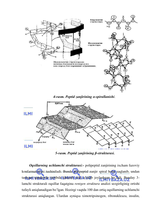  
 
 
 
4-rasm. Peptid zanjirining α-spirallanishi.  
 
5-rasm. Peptid zanjirining β-strukturasi. 
 
Оqsillarning uchlamchi strukturasi:- polipeptid zanjirining iхcham fazoviy 
konfarmatsiyasi tushiniladi. Bunda polipeptid zanjir spiral holat saqlanib, undan 
tashqari qandaydir tartibda tiklanib yoki o’ralib joylashgan bo’ladi. Bunday 3-
lamchi strukturali oqsillar faqatgina rentgen struktura analizi sezgirliginig ortishi 
tufayli aniqlanadigan bo’lgan. Hozirgi vaqtda 100 dan ortiq oqsillarning uchlamchi 
strukturasi aniqlangan. Ulardan ayniqsa хimotripsinogen, ribonukleaza, insulin, 
