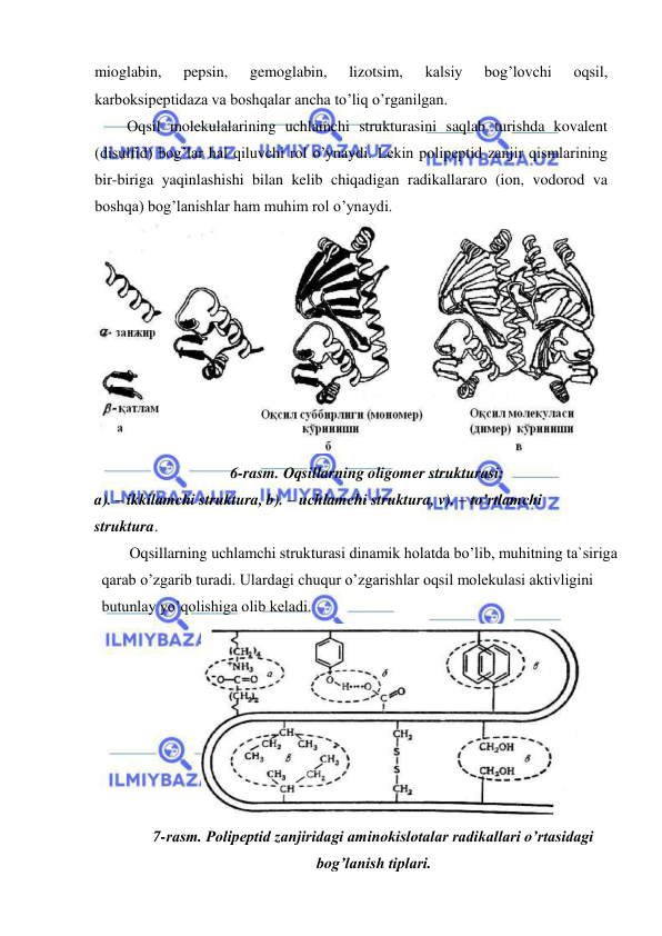  
 
mioglabin, 
pepsin, 
gemoglabin, 
lizotsim, 
kalsiy 
bog’lovchi 
oqsil, 
karboksipeptidaza va boshqalar ancha to’liq o’rganilgan.  
Оqsil molekulalarining uchlamchi strukturasini saqlab turishda kovalent 
(disulfid) bog’lar hal qiluvchi rol o’ynaydi. Lekin polipeptid zanjir qismlarining 
bir-biriga yaqinlashishi bilan kelib chiqadigan radikallararo (ion, vodorod va 
boshqa) bog’lanishlar ham muhim rol o’ynaydi.  
 
6-rasm. Оqsillarning oligomer strukturasi:  
a). – ikkilamchi struktura, b). – uchlamchi struktura, v). – to’rtlamchi 
struktura.  
Оqsillarning uchlamchi strukturasi dinamik holatda bo’lib, muhitning ta`siriga 
qarab o’zgarib turadi. Ulardagi chuqur o’zgarishlar oqsil molekulasi aktivligini 
butunlay yo’qolishiga olib keladi.  
  
7-rasm. Polipeptid zanjiridagi aminokislotalar radikallari o’rtasidagi 
bog’lanish tiplari. 
