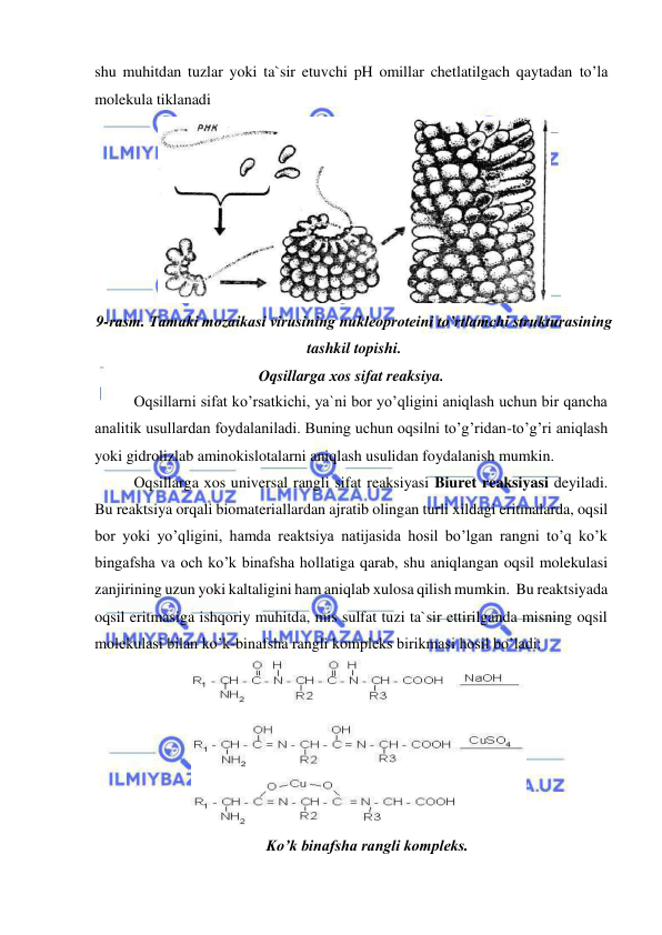  
 
shu muhitdan tuzlar yoki ta`sir etuvchi pH omillar chetlatilgach qaytadan to’la 
molekula tiklanadi  
 
9-rasm. Tamaki mozaikasi virusining nukleoproteini to’rtlamchi strukturasining 
tashkil topishi. 
Оqsillarga хos sifat reaksiya. 
Оqsillarni sifat ko’rsatkichi, ya`ni bor yo’qligini aniqlash uchun bir qancha 
analitik usullardan foydalaniladi. Buning uchun oqsilni to’g’ridan-to’g’ri aniqlash 
yoki gidrolizlab aminokislotalarni aniqlash usulidan foydalanish mumkin.  
Оqsillarga хos universal rangli sifat reaksiyasi Biuret reaksiyasi deyiladi. 
Bu reaktsiya orqali biomateriallardan ajratib olingan turli хildagi eritmalarda, oqsil 
bor yoki yo’qligini, hamda reaktsiya natijasida hosil bo’lgan rangni to’q ko’k 
bingafsha va och ko’k binafsha hollatiga qarab, shu aniqlangan oqsil molekulasi 
zanjirining uzun yoki kaltaligini ham aniqlab хulosa qilish mumkin.  Bu reaktsiyada 
oqsil eritmasiga ishqoriy muhitda, mis sulfat tuzi ta`sir ettirilganda misning oqsil 
molekulasi bilan ko’k-binafsha rangli kompleks birikmasi hosil bo’ladi:  
  
Ko’k binafsha rangli kompleks.  

