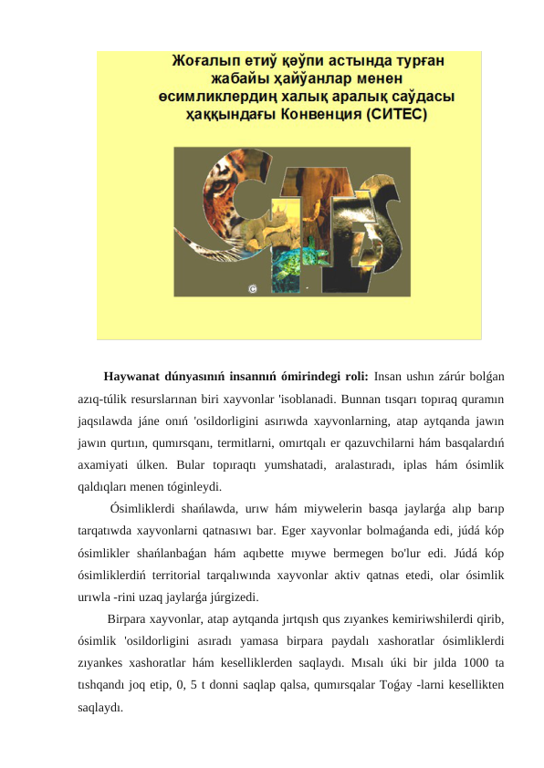 Haywanat dúnyasınıń insannıń ómirindegi roli: Insan ushın zárúr bolǵan
azıq-túlik resurslarınan biri xayvonlar 'isoblanadi. Bunnan tısqarı topıraq quramın
jaqsılawda jáne onıń 'osildorligini asırıwda xayvonlarning, atap aytqanda jawın
jawın qurtıın, qumırsqanı, termitlarni, omırtqalı er qazuvchilarni hám basqalardıń
axamiyati  úlken.  Bular  topıraqtı  yumshatadi,  aralastıradı,  iplas  hám  ósimlik
qaldıqları menen tóginleydi.
 Ósimliklerdi shańlawda, urıw hám miywelerin basqa jaylarǵa alıp barıp
tarqatıwda xayvonlarni qatnasıwı bar. Eger xayvonlar bolmaǵanda edi, júdá kóp
ósimlikler  shańlanbaǵan  hám  aqıbette  mıywe  bermegen  bo'lur  edi.  Júdá  kóp
ósimliklerdiń territorial tarqalıwında xayvonlar aktiv qatnas etedi, olar ósimlik
urıwla -rini uzaq jaylarǵa júrgizedi.
 Birpara xayvonlar, atap aytqanda jırtqısh qus zıyankes kemiriwshilerdi qirib,
ósimlik  'osildorligini  asıradı  yamasa  birpara  paydalı  xashoratlar  ósimliklerdi
zıyankes xashoratlar hám keselliklerden saqlaydı. Mısalı úki bir jılda 1000 ta
tıshqandı joq etip, 0, 5 t donni saqlap qalsa, qumırsqalar Toǵay -larni kesellikten
saqlaydı.

