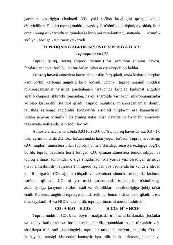 gammoz  kasalligiga  chalinadi.  Vilt  yoki  so’lish  kasalligini  qo’zg’atuvchisi
(Verticillium Dohlia) tuproq muhitida yashaydi, o’simlik qoldiqlarida qishlab, ildiz
orqali uning o’tkazuvchi to’qimalariga kirib uni zararlantiradi, natijada  o’simlik
so’liydi, hosilga katta zarar yetkazadi. 
TUPROQNING AGROKIMYOVIY XUSUSIYATLARI.
Tuproqning tarkibi.
Tuproq  qattiq,  suyuq  (tuproq  eritmasi)  va  gazsimon  (tuproq  havosi)
fazalaridan iborat bo’lib, ular bir-birlari bilan uzviy aloqada bo’ladilar.
Tuproq havosi atmosfera havosidan keskin farq qiladi, unda kislorod miqdori
kam  bo’lib,  karbonat  angidrid  ko’p  bo’ladi.  Chunki,  tuproq  organik  moddasi
mikroorganizmlar  ta’sirida  parchalanish  jarayonida  ko’plab  karbonat  angidrid
ajratib chiqarsa, ikkinchi tomondan, havoli sharoitda yashovchi mikroorganizmlar
ko’plab kislorodni  iste’mol  qiladi. Tuproq muhitida, mikroorganizmlar doimiy
ravishda  karbonat  angidridni  ko’paytirib  kislorod  miqdorini  esa  kamaytiradi.
Ushbu jarayon o’simlik ildizlarining nafas olish davrida va ba’zi bir kimyoviy
reaksiyalar natijasida ham sodir bo’ladi.
Atmosfera havosi tarkibida 0,03 foiz CO2 bo’lsa, tuproq havosida esa 0,3 - 1,0
foiz, ayrim hollarda 2-3 foiz, ba’zan undan ham yuqori bo’ladi. Tuproq havosidagi
CO2 miqdori, atmosfera bilan tuproq muhiti o’rtasidagi aerasiya tezligiga bog’liq
bo’lib, tuproq havosida hosil bo’lgan CO2 qisman atmosfera tomon siljiydi va
tuproq eritmasi tomonidan o’ziga singdiriladi. Me’yorida yuz beradigan aerasiya
(havo almashinish) natijasida 1 m tuproq tagidan yoz vaqtlarida bir kunda 2 litrdan
to  10  litrgacha  CO2 ajralib  chiqadi  va  taxminan  shuncha  miqdorda  kislorod
iste’mol  qilinadi.  CO2
 ni  yer  ustki  qatlamlarida  to’planishi,  o’simlikdagi
assimilyasiya jarayonini tezlashtiradi va o’simliklarni hosildorligiga ijobiy ta’sir
etadi. Karbonat angidrid tuproq muhitida erib, karbonat kislota hosil qiladi, u esa
dissosiyalanib H+ va HCO3
- hosil qilib, tuproq eritmasini nordonlashtiradi:
CO 2 + H2O = H2CO3 
H2CO3  H+ + HCO3
-
Tuproq muhitini CO2 bilan boyishi natijasida, u mineral birikmalar (fosfatlar
va  kalsiy  karbonat)  va  boshqalarni  o’simlik  tomonidan  oson  o’zlashtiruvchi
shakllarga o’tkazadi. Shuningdek, tuproqlar tarkibida  me’yoridan ortiq CO2 ni
ko’payishi,  undagi  kislorodni  kamaytirishga  olib  kelib,  mikroorganizmlar  va
