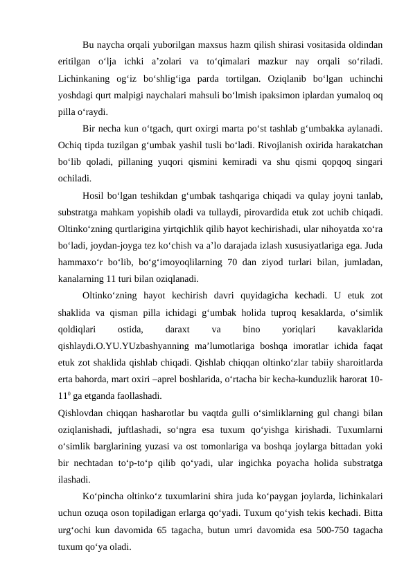 Bu naycha orqali yuborilgan maxsus hazm qilish shirasi vositasida oldindan
eritilgan  o‘lja  ichki  a’zolari  va  to‘qimalari  mazkur  nay  orqali  so‘riladi.
Lichinkaning  og‘iz  bo‘shlig‘iga  parda  tortilgan.  Oziqlanib  bo‘lgan  uchinchi
yoshdagi qurt malpigi naychalari mahsuli bo‘lmish ipaksimon iplardan yumaloq oq
pilla o‘raydi. 
Bir necha kun o‘tgach, qurt oxirgi marta po‘st tashlab g‘umbakka aylanadi.
Ochiq tipda tuzilgan g‘umbak yashil tusli bo‘ladi. Rivojlanish oxirida harakatchan
bo‘lib qoladi, pillaning yuqori qismini  kemiradi va shu qismi qopqoq singari
ochiladi. 
Hosil bo‘lgan teshikdan g‘umbak tashqariga chiqadi va qulay joyni tanlab,
substratga mahkam yopishib oladi va tullaydi, pirovardida etuk zot uchib chiqadi.
Oltinko‘zning qurtlarigina yirtqichlik qilib hayot kechirishadi, ular nihoyatda xo‘ra
bo‘ladi, joydan-joyga tez ko‘chish va a’lo darajada izlash xususiyatlariga ega. Juda
hammaxo‘r bo‘lib, bo‘g‘imoyoqlilarning 70 dan ziyod turlari bilan, jumladan,
kanalarning 11 turi bilan oziqlanadi.
Oltinko‘zning  hayot  kechirish  davri  quyidagicha  kechadi.  U  etuk  zot
shaklida va qisman pilla ichidagi g‘umbak holida tuproq kesaklarda, o‘simlik
qoldiqlari
 
ostida,
 
daraxt
 
va
 
bino
 
yoriqlari
 
kavaklarida
qishlaydi.O.YU.YUzbashyanning  ma’lumotlariga  boshqa  imoratlar  ichida  faqat
etuk zot shaklida qishlab chiqadi. Qishlab chiqqan oltinko‘zlar tabiiy sharoitlarda
erta bahorda, mart oxiri –aprel boshlarida, o‘rtacha bir kecha-kunduzlik harorat 10-
110 ga etganda faollashadi. 
Qishlovdan chiqqan hasharotlar bu vaqtda gulli o‘simliklarning gul changi bilan
oziqlanishadi,  juftlashadi,  so‘ngra  esa  tuxum  qo‘yishga  kirishadi.  Tuxumlarni
o‘simlik barglarining yuzasi va ost tomonlariga va boshqa joylarga bittadan yoki
bir nechtadan to‘p-to‘p qilib qo‘yadi, ular ingichka poyacha holida substratga
ilashadi. 
Ko‘pincha oltinko‘z tuxumlarini shira juda ko‘paygan joylarda, lichinkalari
uchun ozuqa oson topiladigan erlarga qo‘yadi. Tuxum qo‘yish tekis kechadi. Bitta
urg‘ochi kun davomida 65 tagacha, butun umri davomida esa 500-750 tagacha
tuxum qo‘ya oladi. 
