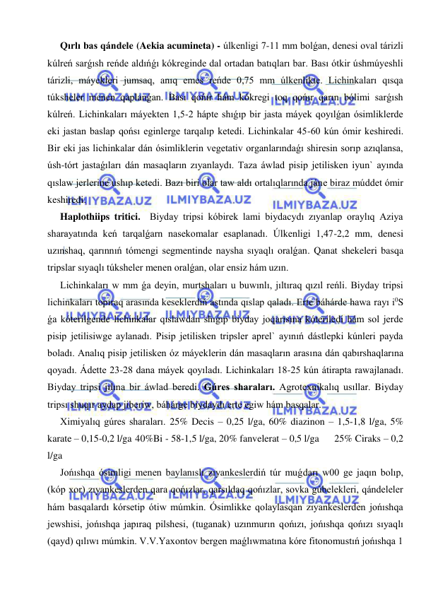  
 
Qırlı bas qándele (Aekia acumineta) - úlkenligi 7-11 mm bolǵan, denesi oval tárizli 
kúlreń sarǵısh reńde aldıńǵı kókreginde dal ortadan batıqları bar. Bası ótkir úshmúyeshli 
tárizli, máyekleri jumsaq, anıq emes reńde 0,75 mm úlkenlikte. Lichinkaları qısqa 
túksheler menen qaplanǵan. Bası qońır hám kókregi toq qońır qarın bólimi sarǵısh 
kúlreń. Lichinkaları máyekten 1,5-2 hápte shıǵıp bir jasta máyek qoyılǵan ósimliklerde 
eki jastan baslap qońsı eginlerge tarqalıp ketedi. Lichinkalar 45-60 kún ómir keshiredi. 
Bir eki jas lichinkalar dán ósimliklerin vegetativ organlarındaǵı shiresin sorıp azıqlansa, 
úsh-tórt jastaǵıları dán masaqların zıyanlaydı. Taza áwlad pisip jetilisken iyun` ayında 
qıslaw jerlerine ushıp ketedi. Bazı biri olar taw aldı ortalıqlarında jáne biraz múddet ómir 
keshiredi. 
Haplothiips tritici.  Biyday tripsi kóbirek lami biydacydı zıyanlap oraylıq Aziya 
sharayatında keń tarqalǵarn nasekomalar esaplanadı. Úlkenligi 1,47-2,2 mm, denesi 
uzınshaq, qarınnıń tómengi segmentinde naysha sıyaqlı oralǵan. Qanat shekeleri basqa 
tripslar sıyaqlı túksheler menen oralǵan, olar ensiz hám uzın. 
Lichinkaları w mm ǵa deyin, murtshaları u buwınlı, jıltıraq qızıl reńli. Biyday tripsi 
lichinkaları topıraq arasında keseklerdiń astında qıslap qaladı. Erte báhárde hawa rayı i0S 
ǵa kóterilgende lichinkalar qıslawdan shıǵıp biyday joqarısına kóteriledi hám sol jerde 
pisip jetilisiwge aylanadı. Pisip jetilisken tripsler aprel` ayınıń dástlepki kúnleri payda 
boladı. Analıq pisip jetilisken óz máyeklerin dán masaqların arasına dán qabırshaqlarına 
qoyadı. Ádette 23-28 dana máyek qoyıladı. Lichinkaları 18-25 kún átirapta rawajlanadı. 
Biyday tripsi jılına bir áwlad beredi. Gúres sharaları. Agrotexnikalıq usıllar. Biyday 
tripsı shuqır aydap jiberiw, báhárge biydaydı erte egiw hám basqalar. 
Ximiyalıq gúres sharaları. 25% Decis – 0,25 l/ga, 60% diazinon – 1,5-1,8 l/ga, 5% 
karate – 0,15-0,2 l/ga 40%Bi - 58-1,5 l/ga, 20% fanvelerat – 0,5 l/ga      25% Ciraks – 0,2 
l/ga 
Jońıshqa ósimligi menen baylanıslı zıyankeslerdiń túr muǵdarı w00 ge jaqın bolıp, 
(kóp xor) zıyankeslerden qara qońızlar, qarsıldaq qońızlar, sovka gúbelekleri, qándeleler 
hám basqalardı kórsetip ótiw múmkin. Ósimlikke qolaylasqan zıyankeslerden jońıshqa 
jewshisi, jońıshqa japıraq pilshesi, (tuganak) uzınmurın qońızı, jońıshqa qońızı sıyaqlı 
(qayd) qılıwı múmkin. V.V.Yaxontov bergen maǵlıwmatına kóre fitonomustıń jońıshqa 1 
