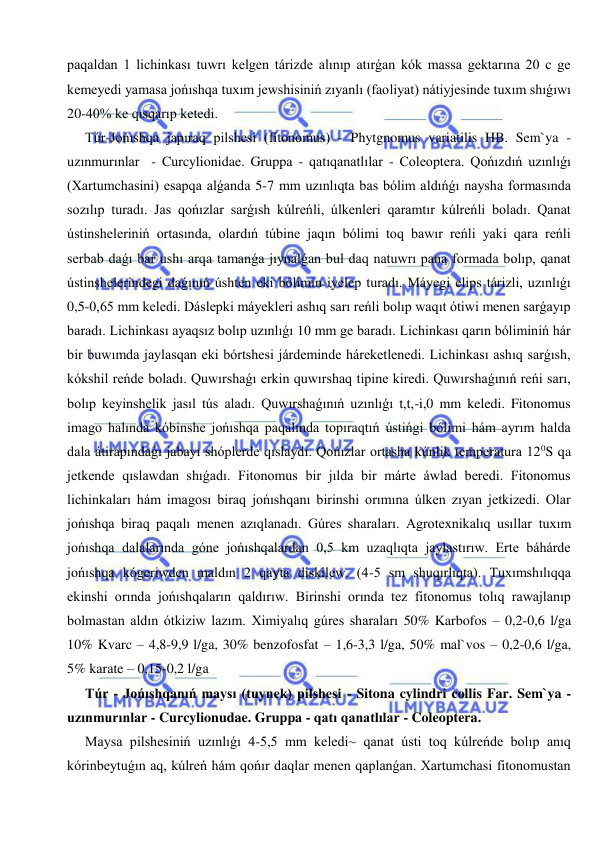  
 
paqaldan 1 lichinkası tuwrı kelgen tárizde alınıp atırǵan kók massa gektarına 20 c ge 
kemeyedi yamasa jońıshqa tuxım jewshisiniń zıyanlı (faoliyat) nátiyjesinde tuxım shıǵıwı 
20-40% ke qısqarıp ketedi. 
Túr-Jońıshqa japıraq pilshesi (fitonomus) - Phytgnomus variatilis HB. Sem`ya - 
uzınmurınlar  - Curcylionidae. Gruppa - qatıqanatlılar - Coleoptera. Qońızdıń uzınlıǵı 
(Xartumchasini) esapqa alǵanda 5-7 mm uzınlıqta bas bólim aldıńǵı naysha formasında 
sozılıp turadı. Jas qońızlar sarǵısh kúlreńli, úlkenleri qaramtır kúlreńli boladı. Qanat 
ústinsheleriniń ortasında, olardıń túbine jaqın bólimi toq bawır reńli yaki qara reńli 
serbab daǵı bar ushı arqa tamanǵa jıynalǵan bul daq natuwrı pana formada bolıp, qanat 
ústinshelerindegi daǵınıń úshten eki bólimin iyelep turadı. Máyegi elips tárizli, uzınlıǵı 
0,5-0,65 mm keledi. Dáslepki máyekleri ashıq sarı reńli bolıp waqıt ótiwi menen sarǵayıp 
baradı. Lichinkası ayaqsız bolıp uzınlıǵı 10 mm ge baradı. Lichinkası qarın bóliminiń hár 
bir buwımda jaylasqan eki bórtshesi járdeminde háreketlenedi. Lichinkası ashıq sarǵısh, 
kókshil reńde boladı. Quwırshaǵı erkin quwırshaq tipine kiredi. Quwırshaǵınıń reńi sarı, 
bolıp keyinshelik jasıl tús aladı. Quwırshaǵınıń uzınlıǵı t,t,-i,0 mm keledi. Fitonomus 
imago halında kóbinshe jońıshqa paqalında topıraqtıń ústińgi bólimi hám ayrım halda 
dala átirapındaǵı jabayı shóplerde qıslaydı. Qońızlar ortasha kúnlik temperatura 120S qa 
jetkende qıslawdan shıǵadı. Fitonomus bir jılda bir márte áwlad beredi. Fitonomus 
lichinkaları hám imagosı biraq jońıshqanı birinshi orımına úlken zıyan jetkizedi. Olar 
jońıshqa biraq paqalı menen azıqlanadı. Gúres sharaları. Agrotexnikalıq usıllar tuxım 
jońıshqa dalalarında góne jońıshqalardan 0,5 km uzaqlıqta jaylastırıw. Erte báhárde 
jońıshqa kógeriwden maldın 2 qayta diskilew. (4-5 sm shuqırlıqta). Tuxımshılıqqa 
ekinshi orında jońıshqaların qaldırıw. Birinshi orında tez fitonomus tolıq rawajlanıp 
bolmastan aldın ótkiziw lazım. Ximiyalıq gúres sharaları 50% Karbofos – 0,2-0,6 l/ga 
10% Kvarc – 4,8-9,9 l/ga, 30% benzofosfat – 1,6-3,3 l/ga, 50% mal`vos – 0,2-0,6 l/ga, 
5% karate – 0,15-0,2 l/ga 
Túr - Jońıshqanıń maysı (tuynek) pilshesi - Sitona cylindri collis Far. Sem`ya - 
uzınmurınlar - Curcylionudae. Gruppa - qatı qanatlılar - Coleoptera. 
Maysa pilshesiniń uzınlıǵı 4-5,5 mm keledi~ qanat ústi toq kúlreńde bolıp anıq 
kórinbeytuǵın aq, kúlreń hám qońır daqlar menen qaplanǵan. Xartumchasi fitonomustan 
