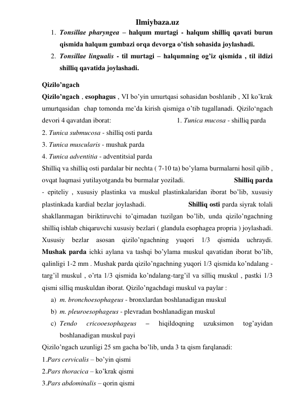 Ilmiybaza.uz 
1. Tonsillae pharyngea – halqum murtagi - halqum shilliq qavati burun 
qismida halqum gumbazi orqa devorga o’tish sohasida joylashadi. 
2. Tonsillae lingualis - til murtagi – halqumning og’iz qismida , til ildizi 
shilliq qavatida joylashadi. 
Qizilo’ngach 
Qizilo’ngach , esophagus , VI bo’yin umurtqasi sohasidan boshlanib , XI ko’krak 
umurtqasidan  chap tomonda me’da kirish qismiga o’tib tugallanadi. Qizilo‘ngach 
devori 4 qavatdan iborat:                                      1. Tunica mucosa - shilliq parda  
2. Tunica submucosa - shilliq osti parda 
3. Tunica muscularis - mushak parda  
4. Tunica adventitia - adventitsial parda  
Shilliq va shilliq osti pardalar bir nechta ( 7-10 ta) bo’ylama burmalarni hosil qilib , 
ovqat luqmasi yutilayotganda bu burmalar yoziladi.                            Shilliq parda 
- epiteliy , xususiy plastinka va muskul plastinkalaridan iborat bo’lib, xususiy 
plastinkada kardial bezlar joylashadi.                    Shilliq osti parda siyrak tolali 
shakllanmagan biriktiruvchi to’qimadan tuzilgan bo’lib, unda qizilo’ngachning 
shilliq ishlab chiqaruvchi xususiy bezlari ( glandula esophagea propria ) joylashadi. 
Xususiy 
bezlar 
asosan qizilo’ngachning 
yuqori 
1/3 qismida 
uchraydi.             
Mushak parda ichki aylana va tashqi bo’ylama muskul qavatidan iborat bo’lib, 
qalinligi 1-2 mm . Mushak parda qizilo’ngachning yuqori 1/3 qismida ko’ndalang - 
targ’il muskul , o’rta 1/3 qismida ko’ndalang-targ’il va silliq muskul , pastki 1/3 
qismi silliq muskuldan iborat. Qizilo’ngachdagi muskul va paylar : 
a) m. bronchoesophageus - bronxlardan boshlanadigan muskul 
b) m. pleuroesophageus - plevradan boshlanadigan muskul 
c) Tendo 
cricooesophageus 
– 
hiqildoqning 
uzuksimon 
tog’ayidan 
boshlanadigan muskul payi                                                             
Qizilo’ngach uzunligi 25 sm gacha bo’lib, unda 3 ta qism farqlanadi: 
1.Pars cervicalis – bo’yin qismi 
2.Pars thoracica – ko’krak qismi 
3.Pars abdominalis – qorin qismi  
