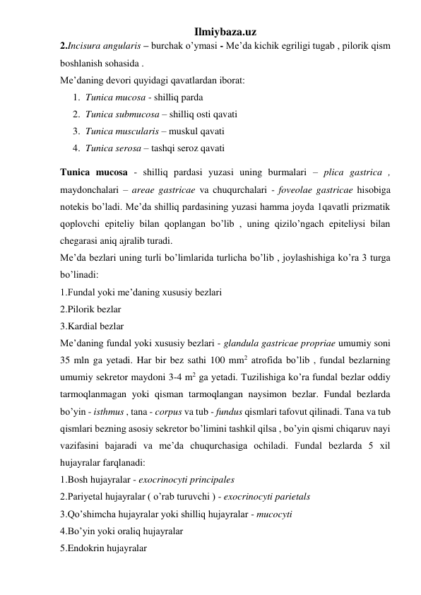 Ilmiybaza.uz 
2.Incisura angularis – burchak o’ymasi - Me’da kichik egriligi tugab , pilorik qism 
boshlanish sohasida . 
Me’daning devori quyidagi qavatlardan iborat: 
1. Tunica mucosa - shilliq parda 
2. Tunica submucosa – shilliq osti qavati 
3. Tunica muscularis – muskul qavati 
4. Tunica serosa – tashqi seroz qavati  
Tunica mucosa - shilliq pardasi yuzasi uning burmalari – plica gastrica , 
maydonchalari – areae gastricae va chuqurchalari - foveolae gastricae hisobiga 
notekis bo’ladi. Me’da shilliq pardasining yuzasi hamma joyda 1qavatli prizmatik 
qoplovchi epiteliy bilan qoplangan bo’lib , uning qizilo’ngach epiteliysi bilan 
chegarasi aniq ajralib turadi.  
Me’da bezlari uning turli bo’limlarida turlicha bo’lib , joylashishiga ko’ra 3 turga 
bo’linadi: 
1.Fundal yoki me’daning xususiy bezlari 
2.Pilorik bezlar  
3.Kardial bezlar 
Me’daning fundal yoki xususiy bezlari - glandula gastricae propriae umumiy soni 
35 mln ga yetadi. Har bir bez sathi 100 mm2 atrofida bo’lib , fundal bezlarning 
umumiy sekretor maydoni 3-4 m2 ga yetadi. Tuzilishiga ko’ra fundal bezlar oddiy 
tarmoqlanmagan yoki qisman tarmoqlangan naysimon bezlar. Fundal bezlarda 
bo’yin - isthmus , tana - corpus va tub - fundus qismlari tafovut qilinadi. Tana va tub 
qismlari bezning asosiy sekretor bo’limini tashkil qilsa , bo’yin qismi chiqaruv nayi 
vazifasini bajaradi va me’da chuqurchasiga ochiladi. Fundal bezlarda 5 xil 
hujayralar farqlanadi: 
1.Bosh hujayralar - exocrinocyti principales  
2.Pariyetal hujayralar ( o’rab turuvchi ) - exocrinocyti parietals  
3.Qo’shimcha hujayralar yoki shilliq hujayralar - mucocyti  
4.Bo’yin yoki oraliq hujayralar 
5.Endokrin hujayralar 
 
