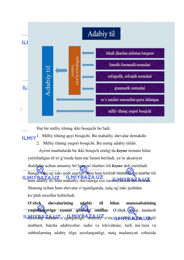  
 
 
Har bir milliy tilning ikki bosqichi bo‘ladi:  
1. Milliy tilning quyi bosqichi. Bu mahalliy shevalar demakdir. 
2.  Milliy tilning yuqori bosqichi. Bu uning adabiy tilidir. 
 
Ayrim manbalarda bu ikki bosqich oralig‘da koyne termini bilan 
yuritiladigan til to‘g‘risida ham ma’lumot beriladi, ya’ni aksariyat 
dialektlar uchun umumiy bo‘lgan so‘zlashuv tili koyne deb yuritiladi. 
Bunga xalq og‘zaki ijodi asarlari tilini ham kiritish mumkin, bu asarlar tili 
ham adabiy til, ham mahalliy shevalarga xos xususiyatlarni aks ettiradi. 
Shuning uchun ham shevalar o‘rganilganda, xalq og‘zaki ijodidan 
ko‘plab misollar keltiriladi.  
O‘zbek 
shevalarining 
adabiy 
til 
bilan 
munosabatining 
yaqinlashuviga xizmat qiluvchi omillar. O‘zbek xalqi turmush 
tarzining tubdan o‘zgarganligi, umumiy o‘rta va oliy ta’lim, vaqtli 
matbuot, barcha adabiyotlar, radio va televidenie, turli ma’ruza va 
suhbatlarning adabiy tilga asoslanganligi, nutq madaniyati sohasida 

