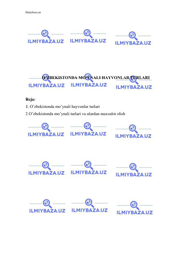 Ilmiybaza.uz 
 
 
 
 
 
 
 
 
 
O‘ZBEKISTONDA MO‘YNALI HAYVONLAR TURLARI 
 
 
Reja: 
1. O’zbekistonda mo’ynali hayvonlar turlari 
2 O’zbekistonda mo’ynali turlari va ulardan maxsulot olish 
 
 
 
 
 
 
 
 
 
 
 
 
 
 
 
 
