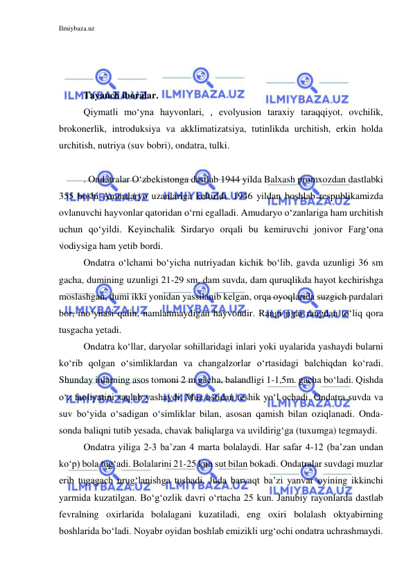 Ilmiybaza.uz 
 
 
 
 
Tayanch iboralar. 
Qiymatli mo‘yna hayvonlari, , evolyusion taraxiy taraqqiyot, ovchilik, 
brokonerlik, introduksiya va akklimatizatsiya, tutinlikda urchitish, erkin holda 
urchitish, nutriya (suv bobri), ondatra, tulki. 
 
. Ondatralar O‘zbekistonga dastlab 1944 yilda Balxash promxozdan dastlabki 
355 boshi Amurdaryo uzanlariga keltirldi. 1946 yildan boshlab respublikamizda 
ovlanuvchi hayvonlar qatoridan o‘rni egalladi. Amudaryo o‘zanlariga ham urchitish 
uchun qo‘yildi. Keyinchalik Sirdaryo orqali bu kemiruvchi jonivor Farg‘ona 
vodiysiga ham yetib bordi. 
Ondatra o‘lchami bo‘yicha nutriyadan kichik bo‘lib, gavda uzunligi 36 sm 
gacha, dumining uzunligi 21-29 sm, dam suvda, dam quruqlikda hayot kechirishga 
moslashgan, dumi ikki yonidan yassilanib kelgan, orqa oyoqlarida suzgich pardalari 
bor, mo‘ynasi qalin, namlanmaydigan hayvondir. Rangi jigar rangdan to‘liq qora 
tusgacha yetadi. 
Ondatra ko‘llar, daryolar sohillaridagi inlari yoki uyalarida yashaydi bularni 
ko‘rib qolgan o‘simliklardan va changalzorlar o‘rtasidagi balchiqdan ko‘radi. 
Shunday inlarning asos tomoni 2 m gacha, balandligi 1-1,5m. gacha bo‘ladi. Qishda 
o‘z faoliyatini saqlab yashaydi. Muz ostidan teshik yo‘l ochadi. Ondatra suvda va 
suv bo‘yida o‘sadigan o‘simliklar bilan, asosan qamish bilan oziqlanadi. Onda-
sonda baliqni tutib yesada, chavak baliqlarga va uvildirig‘ga (tuxumga) tegmaydi.  
Ondatra yiliga 2-3 ba’zan 4 marta bolalaydi. Har safar 4-12 (ba’zan undan 
ko‘p) bola tug‘adi. Bolalarini 21-25 kun sut bilan bokadi. Ondatralar suvdagi muzlar 
erib tugagach urug‘lanishga tushadi. Juda barvaqt ba’zi yanvar oyining ikkinchi 
yarmida kuzatilgan. Bo‘g‘ozlik davri o‘rtacha 25 kun. Janubiy rayonlarda dastlab 
fevralning oxirlarida bolalagani kuzatiladi, eng oxiri bolalash oktyabirning 
boshlarida bo‘ladi. Noyabr oyidan boshlab emizikli urg‘ochi ondatra uchrashmaydi. 
