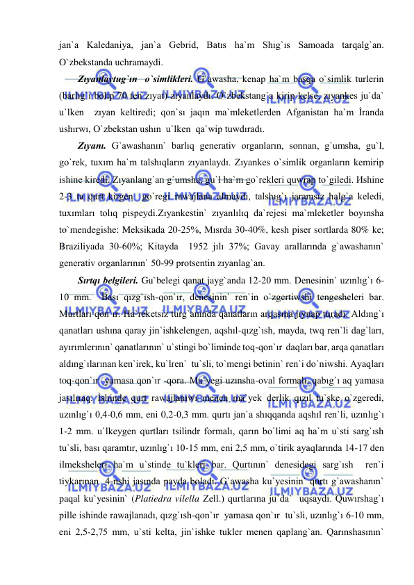  
 
jan`a Kaledaniya, jan`a Gebrid, Batıs ha`m Shıg`ıs Samoada tarqalg`an. 
O`zbekstanda uchramaydi. 
Zıyanlaytug`ın  o`simlikleri. G`awasha, kenap ha`m basqa o`simlik turlerin 
(barlıg`ı bolıp 70 ten zıyat) zıyanlaydı. O`zbekstang`a kirip kelse, zıyankes ju`da` 
u`lken  zıyan keltiredi; qon`sı jaqın ma`mleketlerden Afganistan ha`m İranda 
ushırwı, O`zbekstan ushın  u`lken  qa`wip tuwdıradı. 
Zıyanı. G`awashanın` barlıq generativ organların, sonnan, g`umsha, gu`l, 
go`rek, tuxım ha`m talshıqların zıyanlaydı. Zıyankes o`simlik organların kemirip 
ishine kiredi. Zıyanlang`an g`umsha, gu`l ha`m go`rekleri quwrap to`giledi. Иshine 
2-3 ta qurt kirgen  go`regi rawajlana almaydı, talshıg`ı jaramsız halg`a keledi, 
tuxımları tolıq pispeydi.Zıyankestin` zıyanlılıq da`rejesi ma`mleketler boyınsha 
to`mendegishe: Meksikada 20-25%, Mısrda 30-40%, kesh piser sortlarda 80% ke; 
Braziliyada 30-60%; Kitayda  1952 jılı 37%; Gavay arallarında g`awashanın` 
generativ organlarının` 50-99 protsentin zıyanlag`an. 
Sırtqı belgileri. Gu`belegi qanat jayg`anda 12-20 mm. Denesinin` uzınlıg`ı 6-
10 mm.  Bası qızg`ısh-qon`ır, denesinin` ren`in o`zgertiwshi tengesheleri bar. 
Murtları qon`ır. Ha`reketsiz turg`anında qanatların arqasına jıynap turadı. Aldıng`ı 
qanatları ushına qaray jin`ishkelengen, aqshıl-qızg`ısh, mayda, twq ren`li dag`ları, 
ayırımlerının` qanatlarının` u`stingi bo`liminde toq-qon`ır  daqları bar, arqa qanatları 
aldıng`ılarınan ken`irek, ku`lren`  tu`sli, to`mengi betinin` ren`i do`niwshi. Ayaqları 
toq-qon`ır  yamasa qon`ır -qora. Ma`yegi uzınsha-oval formalı, qabıg`ı aq yamasa 
jasılıraq. İshinde qurt rawajlanıwı menen ma`yek derlik qızıl tu`ske o`zgeredi, 
uzınlıg`ı 0,4-0,6 mm, eni 0,2-0,3 mm. qurtı jan`a shıqqanda aqshıl ren`li, uzınlıg`ı 
1-2 mm. u`lkeygen qurtları tsilindr formalı, qarın bo`limi aq ha`m u`sti sarg`ısh  
tu`sli, bası qaramtır, uzınlıg`ı 10-15 mm, eni 2,5 mm, o`tirik ayaqlarında 14-17 den 
ilmeksheleri ha`m u`stinde tu`kleri bar. Qurtının` denesidegi sarg`ısh  ren`i 
tiykarınan  4-nshi jasında payda boladı. G`awasha ku`yesinin` qurtı g`awashanın` 
paqal ku`yesinin` (Platiedra vilella Zell.) qurtlarına ju`da`  uqsaydı. Quwırshag`ı 
pille ishinde rawajlanadı, qızg`ısh-qon`ır  yamasa qon`ır  tu`sli, uzınlıg`ı 6-10 mm, 
eni 2,5-2,75 mm, u`sti kelta, jin`ishke tukler menen qaplang`an. Qarınshasının` 
