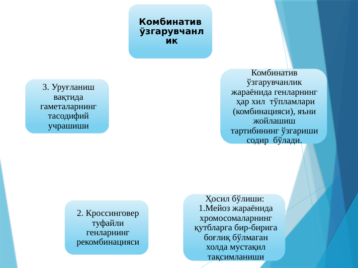 Комбинатив  
ўзгарувчанл
ик
Комбинатив  
ўзгарувчанлик  
жараёнида генларнинг  
ҳар хил  тўпламлари 
(комбинацияси), яъни  
жойлашиш  
тартибининг ўзгариши  
содир  бўлади. 
Ҳосил бўлиши:  
1.Мейоз жараёнида 
хромосомаларнинг 
қутбларга бир-бирига 
боғлиқ бўлмаган 
холда мустақил 
тақсимланиши
2. Кроссинговер 
туфайли 
генларнинг 
рекомбинацияси
3. Уруғланиш 
вақтида 
гаметаларнинг 
тасодифий 
учрашиши
