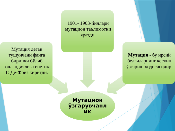 Мутацион 
ўзгарувчанл
ик
Мутация деган 
тушунчани фанга 
биринчи бўлиб 
голландиялик генетик  
Г. Де-Фриз киритди.
1901- 1903-йиллари 
мутацион таълимотни 
яратди.
Мутация - бу ирсий 
белгиларнинг кескин 
ўзгариш ҳодисасидир.
