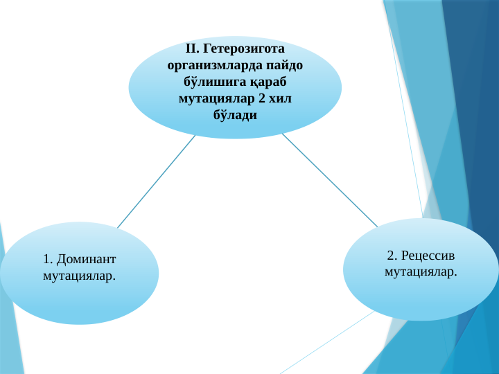 II. Гетерозигота 
организмларда пайдо 
бўлишига қараб 
мутациялар 2 хил 
бўлади
2. Рецессив 
мутациялар.
1. Доминант 
мутациялар.
