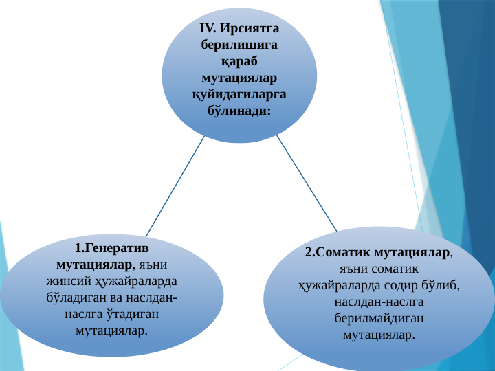 IV. Ирсиятга 
берилишига 
қараб 
мутациялар 
қуйидагиларга 
бўлинади:
1.Генератив 
мутациялар, яъни 
жинсий ҳужайраларда 
бўладиган ва наслдан-
наслга ўтадиган 
мутациялар.
2.Соматик мутациялар, 
яъни соматик 
ҳужайраларда содир бўлиб, 
наслдан-наслга 
берилмайдиган 
мутациялар.
