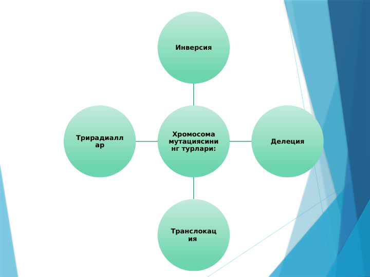 Хромосома 
мутациясини
нг турлари:
Инверсия
Делеция
Транслокац
ия 
Трирадиалл
ар
