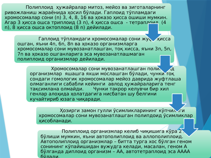 Полиплоид  ҳужайралар митоз, мейоз ва зиготаларнинг 
ривожланиш жараёнида ҳосил бўлади. Гаплоид тўпламдаги 
хромосомалар сони (n) 3, 4, 8, 16 ва ҳоказо ҳисса ошиши мумкин. 
Агар 3 ҳисса ошса триплоид (3 n), 4 ҳисса ошса  - тетраплоид  (4 
n), 8 ҳисса ошса октоплоид (8 n) дейилади.
Гаплоид тўпламдаги хромосомалар сони жуфт ҳисса 
ошган, яъни 4n, 6n, 8n ва ҳоказо организмларга 
хромосомалар сони мувозанатлашган, тоқ хисса, яъни 3n, 5n, 
7n ва ҳоказо ошганларига эса мувозанатлашмаган 
полиплоид организмлар дейилади.
Хромосомалар сони мувозанатлашган полиплоид 
организмлар  яшашга яхши мослашган бўлади, чунки тоқ 
сондаги гомологик хромосомалар мейоз даврида жуфтлаша 
олмаганлиги сабабли кейинги  авлод ҳужайраларига тенг 
тақсимлана олмайди.
Чунки такрор келувчи бир хил 
генлар алоҳида ҳолатдагига нисбатан шу белгини 
кучайтириб юзага чиқаради. 
Ҳозирги замон гулли ўсимликларининг кўпчилиги 
хромосомалар сони мувозанатлашган полипдоид ўсимликлар 
ҳисобланади.
Полиплоид организмлар келиб чиқишига кўра 2 хил 
бўлиши мумкин, яъни автополиплоид ва аллополиплоид. 
Автополиплоид организмлар – битта турга хос бўлган геном 
сонининг кўпайишидан вужудга келади, масалан, геном А 
бўлганда диплоид организм – АА, автотетраплоид эса АААА 
бўлади.
