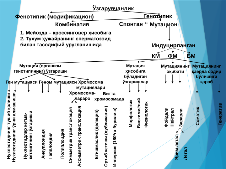 Ўзгарувчанлик
Фенотипик (модификацион)
Генотипик
Комбинатив
1. Мейозда – кроссинговер ҳисобига
2. Тухум ҳужайранинг сперматозоид 
билан тасодифий уруғланишида
Спонтан
Мутацион
Индуцирланган
КМ     ФМ      БМ
Мутация (организм 
генотипининг) ўзгариши
Мутация 
ҳисобига 
бўладиган 
ўзгаришлар
Мутациянинг 
оқибати
Мутациянинг 
қаерда содир 
бўлишига 
қараб
Ген мутацияси Геном мутацияси Хромосома 
мутациялари
Нуклеотиднинг тушиб қолиши
Нуклеотиднинг ўрни алмашиши
Нуклеотидлар кетма-
кетлигининг ўзгариши
Анеуплоидия
Гапплоидия
Полиплоидия
Симметрик транслокация
Ассимметрик транслокация
Хромосома-
лараро
Битта 
хромосомада
Етишмаслик (делеция)
Ортиб кетиши (дубликация)
Инверсия (1800га бурилиш)
Морфологик
Биокимиёвий
Физиологик
Фойдали
Нейтрал
Зарарли
Ярим летал
Летал
Соматик
Генератив
