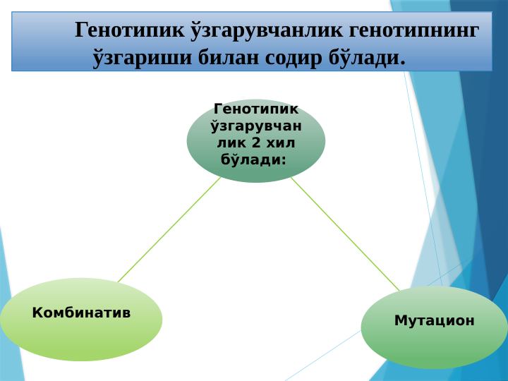 Генотипик ўзгарувчанлик генотипнинг 
ўзгариши билан содир бўлади. 
Генотипик 
ўзгарувчан
лик 2 хил 
бўлади: 
Мутацион
Комбинатив
