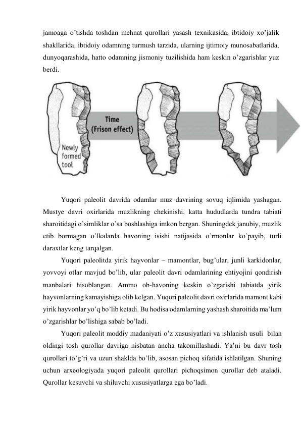 jamoaga o’tishda toshdan mehnat qurollari yasash texnikasida, ibtidoiy xo’jalik 
shakllarida, ibtidoiy odamning turmush tarzida, ularning ijtimoiy munosabatlarida, 
dunyoqarashida, hatto odamning jismoniy tuzilishida ham keskin o’zgarishlar yuz 
berdi. 
 
Yuqori paleolit davrida odamlar muz davrining sovuq iqlimida yashagan. 
Mustye davri oxirlarida muzlikning chekinishi, katta hududlarda tundra tabiati 
sharoitidagi o’simliklar o’sa boshlashiga imkon bergan. Shuningdek janubiy, muzlik 
etib bormagan o’lkalarda havoning isishi natijasida o’rmonlar ko’payib, turli 
daraxtlar keng tarqalgan. 
Yuqori paleolitda yirik hayvonlar – mamontlar, bug’ular, junli karkidonlar, 
yovvoyi otlar mavjud bo’lib, ular paleolit davri odamlarining ehtiyojini qondirish 
manbalari hisoblangan. Ammo ob-havoning keskin o’zgarishi tabiatda yirik 
hayvonlarning kamayishiga olib kelgan. Yuqori paleolit davri oxirlarida mamont kabi 
yirik hayvonlar yo’q bo’lib ketadi. Bu hodisa odamlarning yashash sharoitida ma’lum 
o’zgarishlar bo’lishiga sabab bo’ladi.  
Yuqori paleolit moddiy madaniyati o’z xususiyatlari va ishlanish usuli  bilan 
oldingi tosh qurollar davriga nisbatan ancha takomillashadi. Ya’ni bu davr tosh 
qurollari to’g’ri va uzun shaklda bo’lib, asosan pichoq sifatida ishlatilgan. Shuning 
uchun arxeologiyada yuqori paleolit qurollari pichoqsimon qurollar deb ataladi. 
Qurollar kesuvchi va shiluvchi xususiyatlarga ega bo’ladi. 
