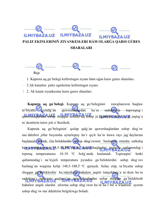  
 
 
 
 
 
PALIZ EKINLERINIŃ ZIYANKESLERI HÁM OLARǴA QARSI GÚRES 
SHARALARI 
 
 
 
              Reje 
1. Kapusta aq gu`belegi keltiretugın zıyanı hám oǵan karsı gures sharaları.  
2.Ak kanattın  palız eginlerine keltiretugın zıyanı.  
2. Ak kanat zıyankesine karsı gures sharaları. 
 
Kapusta aq gu`belegi. Kapusta aq gu`beleginin`  rawajlanıwın baqlaw 
ta`biyatta 
jıynalg`an 
quwırshaqlardan 
ha`m 
sadoklarda 
topıraqtag`ı 
quwırshaqlardan ushıp shıqqan sonday-aq ushıp ju`rgenlerin tutıw ha`m jaqtıg`a 
tu`skenlerin tutıw jolı o`tkeriledi. 
Kapusta aq gu`beleginin` qıslap qalg`an quwırshaqlardan ushıp shıg`ıw 
mu`ddetleri jıllar boyınsha aytarlıqtay ha`r qıylı ha`m hawa rayı jag`daylarına 
baylanıslı boladı. Gu`beleklerdin` ushıp shıg`ıwının` baslanıwı ortasha sutkalıq 
hawa temperaturası 14,5-16,5oC ha`m  quwırshaqlardın` jaylasıw qatlamındag`ı 
topıraq temperaturası 18-19 
oC bolg`anda baslanadı. Topıraqtın` betki 
qatlamındag`ı na`tiyjeli temperatura jıyındısı gu`beleklerdin` ushıp shıg`ıwı 
baslang`an waqtına kelip 148,5-188,5 oC quraydı. Solay etip, ta`biyatta ushıp 
shıqqan gu`beleklerdin` ha`reketlerin bahalaw jaqtılı tutqıshlarg`a tu`sken ha`m 
sadoktag`ı topıraqta saqlang`an quwırshaqlardan ushıp shıqqan gu`beleklerdi 
bahalaw arqalı olardın` ulıwma ushıp shıg`ıwın ha`m ha`r bir a`wladının` ayırım 
ushıp shıg`ıw mu`ddetlerin belgilewge boladı. 
