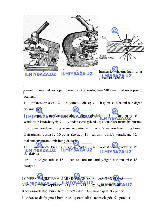  
 
 
 
 
 
 
 
Immersion sistemadagi nurlar 
yunalishi sxemasi. 
 
a — «Biolam» mikroskopning umumiy ko‘rinishi; b — MBR — 1 mikroskopining 
sxemasi:  
1 — mikroskop asosi; 2 — buyum stolchasi; 3 — buyum stolchasini suradigan 
burama mix;  
4 — preparatni mahkam ushlab turadigan qisqichlar; .5 — kondensor; 6 — 
kondensor kronshteyni; 7 — kondensorni gilzada qattiqushlab turuvchi burama 
mix; 8 — kondensorning joyini uzgartiruvchi dasta; 9 — kondensorning burish 
diafragmasi dastasi-; 10-oyna (ko‘zgu);11—tubusni ushlab turadigan; 12 — 
makrometr burama mixining dastasi;  
13 — mikrometr burama mixining dastasi; 14— ob’ektivlar revolveri; 15 — 
ob’ektivlar; 
 16 — bukilgan tubus; 17 — tubusni mustaxkamlaydigan burama mix; 18 — 
okulyar. 
 
IMMERSION SISTEMALI MIKROSKOPDA IShLAShTEXNIKASI. 
Yorug‘lik mikroskopi ishchi va yorug‘likka qulay joyga o‘rnatiladi. 
Kondensordastagi buralib to‘liq ko‘tariladi (1-rasm-chapda, 8 - punkit) 
Kondensor diafragmasi buralib to‘liq ochiladi (1-rasm-chapda, 9 - punkit) 
