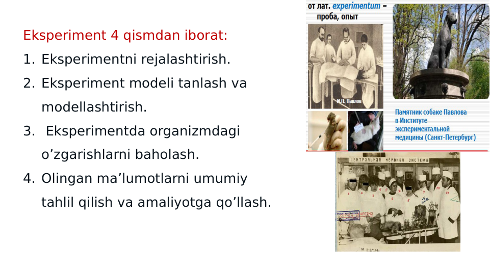 Eksperiment 4 qismdan iborat:
1. Eksperimentni rejalashtirish.
2. Eksperiment modeli tanlash va 
modellashtirish.
3.  Eksperimentda organizmdagi 
o’zgarishlarni baholash.
4. Olingan ma’lumotlarni umumiy 
tahlil qilish va amaliyotga qo’llash.
