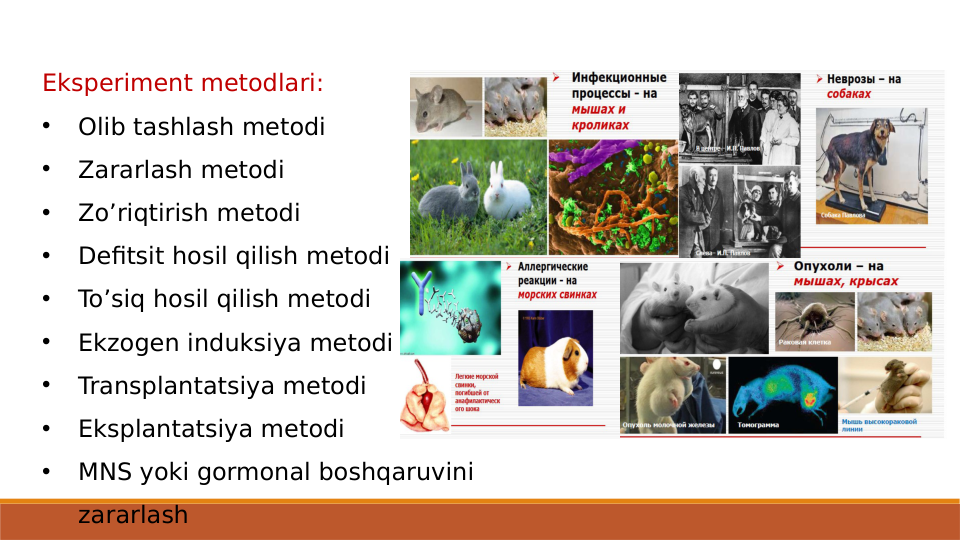 Eksperiment metodlari:
•
Olib tashlash metodi
•
Zararlash metodi
•
Zo’riqtirish metodi
•
Defitsit hosil qilish metodi
•
To’siq hosil qilish metodi
•
Ekzogen induksiya metodi
•
Transplantatsiya metodi
•
Eksplantatsiya metodi
•
MNS yoki gormonal boshqaruvini 
zararlash
