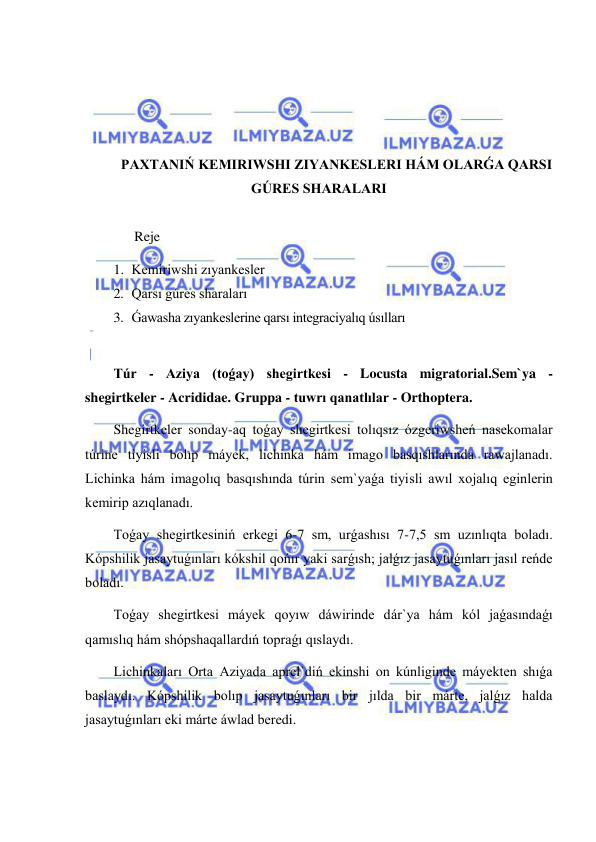  
 
 
 
 
 
PAXTANIŃ KEMIRIWSHI ZIYANKESLERI HÁM OLARǴA QARSI 
GÚRES SHARALARI 
 
      Reje 
1. Kemiriwshi zıyankesler 
2. Qarsı gúres sharaları 
3. Ǵawasha zıyankeslerine qarsı integraciyalıq úsılları 
 
Túr - Aziya (toǵay) shegirtkesi - Locusta migratorial.Sem`ya - 
shegirtkeler - Acrididae. Gruppa - tuwrı qanatlılar - Orthoptera. 
Shegirtkeler sonday-aq toǵay shegirtkesi tolıqsız ózgeriwsheń nasekomalar 
túrine tiyisli bolıp máyek, lichinka hám imago basqıshlarında rawajlanadı. 
Lichinka hám imagolıq basqıshında túrin sem`yaǵa tiyisli awıl xojalıq eginlerin 
kemirip azıqlanadı. 
Toǵay shegirtkesiniń erkegi 6-7 sm, urǵashısı 7-7,5 sm uzınlıqta boladı. 
Kópshilik jasaytuǵınları kókshil qońır yaki sarǵısh; jalǵız jasaytuǵınları jasıl reńde 
boladı. 
Toǵay shegirtkesi máyek qoyıw dáwirinde dár`ya hám kól jaǵasındaǵı 
qamıslıq hám shópshaqallardıń topraǵı qıslaydı. 
Lichinkaları Orta Aziyada aprel`diń ekinshi on kúnliginde máyekten shıǵa 
baslaydı. Kópshilik bolıp jasaytuǵınları bir jılda bir márte, jalǵız halda 
jasaytuǵınları eki márte áwlad beredi. 
