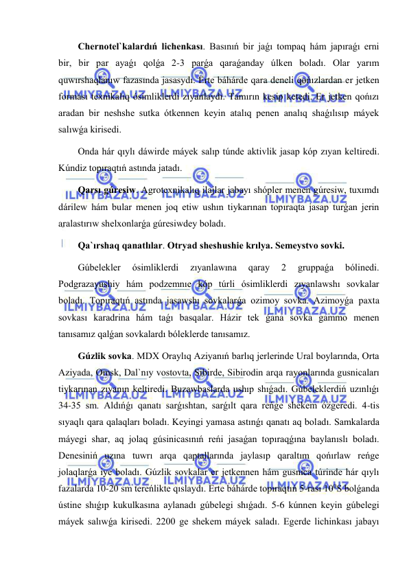  
 
Chernotel`kalardıń lichenkası. Basınıń bir jaǵı tompaq hám japıraǵı erni 
bir, bir par ayaǵı qolǵa 2-3 parǵa qaraǵanday úlken boladı. Olar yarım 
quwırshaqlanıw fazasında jasasydı. Erte báhárde qara deneli qońızlardan er jetken 
forması texnikalıq ósimliklerdi zıyanlaydı. Tamırın kesip ketedi. Er jetken qońızı 
aradan bir neshshe sutka ótkennen keyin atalıq penen analıq shaǵılısıp máyek 
salıwǵa kirisedi. 
Onda hár qıylı dáwirde máyek salıp túnde aktivlik jasap kóp zıyan keltiredi. 
Kúndiz topıraqtıń astında jatadı.  
Qarsı gúresiw. Agrotexnikalıq ilajlar jabayı shópler menen gúresiw, tuxımdı 
dárilew hám bular menen joq etiw ushın tiykarınan topıraqta jasap turǵan jerin 
aralastırıw shelxonlarǵa gúresiwdey boladı. 
Qa`ırshaq qanatlılar. Otryad sheshushie krılya. Semeystvo sovki. 
Gúbelekler 
ósimliklerdi 
zıyanlawına 
qaray 
2 
gruppaǵa 
bólinedi. 
Podgrazayushiy hám podzemnıe kóp túrli ósimliklerdi zıyanlawshı sovkalar 
boladı. Topıraqtıń astında jasawshı sovkalarǵa ozimoy sovka. Azimoyǵa paxta 
sovkası karadrina hám taǵı basqalar. Házir tek ǵana sovka gammo menen 
tanısamız qalǵan sovkalardı bóleklerde tanısamız. 
Gúzlik sovka. MDX Oraylıq Aziyanıń barlıq jerlerinde Ural boylarında, Orta 
Aziyada, Omsk, Dal`nıy vostovta, Sibirde, Sibirodin arqa rayonlarında gusnicaları 
tiykarınan zıyanın keltiredi. Buzawbaslarda ushıp shıǵadı. Gúbeleklerdiń uzınlıǵı 
34-35 sm. Aldıńǵı qanatı sarǵıshtan, sarǵılt qara reńge shekem ózgeredi. 4-tis 
sıyaqlı qara qalaqları boladı. Keyingi yamasa astınǵı qanatı aq boladı. Samkalarda 
máyegi shar, aq jolaq gúsinicasınıń reńi jasaǵan topıraqǵına baylanıslı boladı. 
Denesiniń uzına tuwrı arqa qaptallarında jaylasıp qaraltım qońırlaw reńge 
jolaqlarǵa iye boladı. Gúzlik sovkalar er jetkennen hám gusnica túrinde hár qıylı 
fazalarda 10-20 sm tereńlikte qıslaydı. Erte báhárde topıraqtıń 5-rası 100S bolǵanda 
ústine shıǵıp kukulkasına aylanadı gúbelegi shıǵadı. 5-6 kúnnen keyin gúbelegi 
máyek salıwǵa kirisedi. 2200 ge shekem máyek saladı. Egerde lichinkası jabayı 
