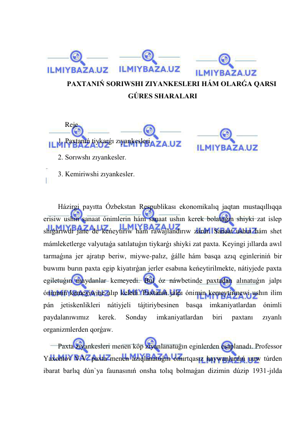  
 
 
 
 
 
PAXTANIŃ SORIWSHI ZIYANKESLERI HÁM OLARǴA QARSI 
GÚRES SHARALARI 
 
    Reje 
1. Paxtanıń tiykarǵı zıyankesleri. 
2. Sorıwshı zıyankesler. 
3. Kemiriwshi zıyankesler. 
 
Házirgi payıtta Ózbekstan Respublikası ekonomikalıq jaqtan mustaqıllıqqa 
erisiw ushın sanaat ónimlerin hám sanaat ushın kerek bolatuǵın shiyki zat islep 
shıǵarıwdı jáne de keńeytiriw hám rawajlandırıw zárúr. Sanaat ushın hám shet 
mámleketlerge valyutaǵa satılatuǵın tiykarǵı shiyki zat paxta. Keyingi jıllarda awıl 
tarmaǵına jer ajratıp beriw, miywe-palız, ǵálle hám basqa azıq eginleriniń bir 
buwımı burın paxta egip kiyatırǵan jerler esabına keńeytirilmekte, nátiyjede paxta 
egiletuǵın maydanlar kemeyedi. Bul óz náwbetinde paxtadan alınatuǵın jalpı 
ónimniń kemeyiwine alıp keledi. Paxtanıń jalpı ónimin kemeytirmewi ushın ilim 
pán jetiskenlikleri nátiyjeli tájtiriybesinen basqa imkaniyatlardan ónimli 
paydalanıwımız 
kerek. 
Sonday 
imkaniyatlardan 
biri 
paxtanı 
zıyanlı 
organizmlerden qorǵaw. 
Paxta zıyankesleri menen kóp zıyanlanatuǵın eginlerden esaplanadı. Professor 
Yaxontov V.V. paxta menen azıqlanatuǵın omırtqasız haywanlardıń uuw túrden 
ibarat barlıq dún`ya faunasınıń onsha tolıq bolmaǵan dizimin dúzip 1931-jılda 
