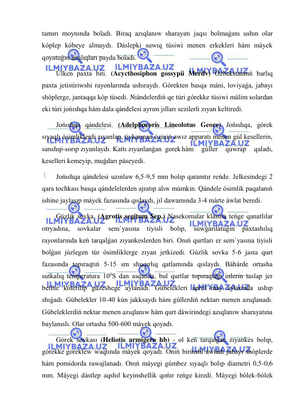  
 
tamırı moynında boladı. Biraq azıqlanıw sharayatı jaqsı bolmaǵanı ushın olar 
kóplep kóbeye almaydı. Dáslepki suwıq túsiwi menen erkekleri hám máyek 
qoyatuǵın analıqları payda boladı. 
Úlken paxta biti. (Acycthosiphon gossypii Merdv) Ózbekstannıń barlıq 
paxta jetistiriwshi rayonlarında ushıraydı. Górekten basqa máni, loviyaǵa, jabayı 
shóplerge, jantaqqa kóp túsedi. №ándelerdiń qe túri górekke túsiwi málim solardan 
eki túri jońıshqa hám dala qándelesi ayrım jılları sezilerli zıyan keltiredi. 
Jońıshqa qándelesi. (Adelphocoris Lineolotus Geore) Jońıshqa, górek 
sıyaqlı ósimliklerdi zıyanlap, tiykarınan óziniń awız apparatı menen gúl kesellerin, 
sanshıp-sorıp zıyanlaydı. Kattı zıyanlanǵan  gorek hám 
gúller 
quwrap 
qaladı, 
keselleri kemeyip, muǵdarı páseyedi. 
Jońıshqa qándelesi uzınlaw 6,5-9,5 mm bolıp qaramtır reńde. Jelkesindegi 2 
qara tochkası basqa qándelelerden ajratıp alıw múmkin. Qándele ósimlik paqalanıń 
ishine jaylasıp máyek fazasında qıslaydı, jıl dawamında 3-4 márte áwlat beredi. 
Gúzlik sovka. (Agrotis segitum Sep.) Nasekomalar klasına teńge qanatlılar 
otryadına, 
sovkalar 
sem`yasına 
tiyisli 
bolıp, 
suwǵarılatuǵın 
paxtashılıq 
rayonlarında keń tarqalǵan zıyankeslerden biri. Onıń qurtları er sem`yasına tiyisli 
bolǵan júzlegen túr ósimliklerge zıyan jetkizedi. Gúzlik sovka 5-6 jasta qurt 
fazasında topıraqtıń 5-15 sm shuqırlıq qatlamında qıslaydı. Báhárde ortasha 
sutkalıq temperatura 100S dan asqanda, bul qurtlar topıraqtaǵı inlerin taslap jer 
betine kóterilip gúzeshege aylanadı. Gúbelekleri aprel`-may aylarında ushıp 
shıǵadı. Gúbelekler 10-40 kún jakksaydı hám gúllerdiń nektarı menen azıqlanadı. 
Gúbeleklerdiń nektar menen azıqlanıw hám qurt dáwirindegi azıqlanıw sharayatına 
baylanıslı. Olar ortasha 500-600 máyek qoyadı. 
Górek sovkası (Heliotis armigera hb) - ol keń tarqalǵan zıyankes bolıp, 
górekke goreklew waqtında máyek qoyadı. Onıń birinshi áwladı jabayı shóplerde 
hám pomidorda rawajlanadı. Onıń máyegi gúmbez sıyaqlı bolıp diametri 0,5-0,6 
mm. Máyegi dástlep aqshıl keyinshellik qońır reńge kiredi. Máyegi bólek-bólek 
