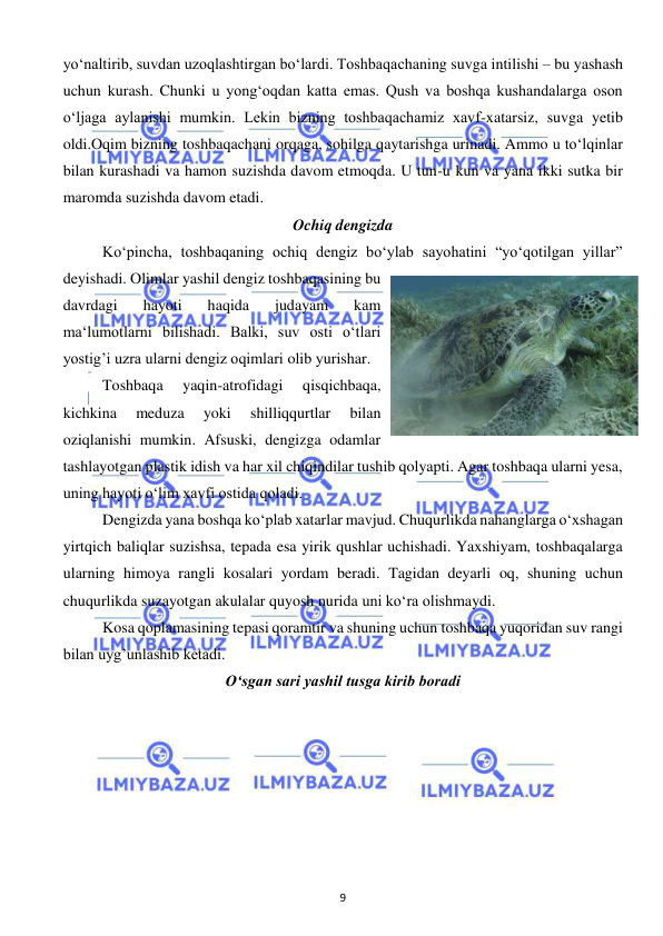  
9 
 
yo‘naltirib, suvdan uzoqlashtirgan bo‘lardi. Toshbaqaсhaning suvga intilishi – bu yashash 
uchun kurash. Chunki u yong‘oqdan katta emas. Qush va boshqa kushandalarga oson 
o‘ljaga aylanishi mumkin. Lekin bizning toshbaqachamiz xavf-xatarsiz, suvga yetib 
oldi.Oqim bizning toshbaqachani orqaga, sohilga qaytarishga urinadi. Ammo u to‘lqinlar 
bilan kurashadi va hamon suzishda davom etmoqda. U tun-u kun va yana ikki sutka bir 
maromda suzishda davom etadi. 
Ochiq dengizda 
Ko‘pincha, toshbaqaning ochiq dengiz bo‘ylab sayohatini “yo‘qotilgan yillar” 
deyishadi. Olimlar yashil dengiz toshbaqasining bu 
davrdagi 
hayoti 
haqida 
judayam 
kam 
ma‘lumotlarni bilishadi. Balki, suv osti o‘tlari 
yostig’i uzra ularni dengiz oqimlari olib yurishar. 
Toshbaqa 
yaqin-atrofidagi 
qisqichbaqa, 
kichkina 
meduza 
yoki 
shilliqqurtlar 
bilan 
oziqlanishi mumkin. Afsuski, dengizga odamlar 
tashlayotgan plastik idish va har xil chiqindilar tushib qolyapti. Agar toshbaqa ularni yesa, 
uning hayoti o‘lim xavfi ostida qoladi. 
Dengizda yana boshqa ko‘plab xatarlar mavjud. Chuqurlikda nahanglarga o‘xshagan 
yirtqich baliqlar suzishsa, tepada esa yirik qushlar uchishadi. Yaxshiyam, toshbaqalarga 
ularning himoya rangli kosalari yordam beradi. Tagidan deyarli oq, shuning uchun 
chuqurlikda suzayotgan akulalar quyosh nurida uni ko‘ra olishmaydi.  
Kosa qoplamasining tepasi qoramtir va shuning uchun toshbaqa yuqoridan suv rangi 
bilan uyg’unlashib ketadi. 
O‘sgan sari yashil tusga kirib boradi 
 
