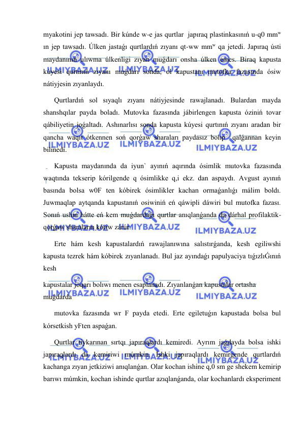  
 
myakotini jep tawsadı. Bir kúnde w-e jas qurtlar  japıraq plastinkasınıń u-q0 mmw 
ın jep tawsadı. Úlken jastaǵı qurtlardıń zıyanı qt-ww mmw qa jetedi. Japıraq ústi 
maydanınıń ulıwma úlkenligi zıyan muǵdarı onsha úlken emes. Biraq kapusta 
kúyesi qurtınıń zıyanı muǵdarı sonda, ol kapustanı mutofka fazasında ósiw 
nátiyjesin zıyanlaydı. 
Qurtlardıń sol sıyaqlı zıyanı nátiyjesinde rawajlanadı. Bulardan mayda 
shanshqılar payda boladı. Mutovka fazasında jábirlengen kapusta óziniń tovar 
qábiliyetin joǵaltadı. Ashınarlısı sonda kapusta kúyesi qurtınıń zıyanı aradan bir 
qancha waqıt ótkennen soń qorǵaw sharaları paydasız bolıp  qalǵannan keyin 
bilinedi. 
Kapusta maydanında da iyun` ayınıń aqırında ósimlik mutovka fazasında 
waqtında tekserip kórilgende q ósimlikke q,i ekz. dan aspaydı. Avgust ayınıń 
basında bolsa w0F ten kóbirek ósimlikler kachan ormaǵanlıǵı málim boldı. 
Juwmaqlap aytqanda kapustanıń osiwiniń eń qáwipli dáwiri bul mutofka fazası. 
Sonıń ushın hátte eń kem muǵdardaǵı qurtlar anıqlanǵanda da dárhal profilaktik-
qorǵaw sharaların kóriw zárúr. 
Erte hám kesh kapustalardıń rawajlanıwına salıstırǵanda, kesh egiliwshi 
kapusta tezrek hám kóbirek zıyanlanadı. Bul jaz ayındaǵı papulyaciya tıǵızlıǴınıń 
kesh 
kapustalar joqarı bolıwı menen esaplanadı. Zıyanlanǵan kapustalar ortasha 
muǵdarda  
mutovka fazasında wr F payda etedi. Erte egiletuǵın kapustada bolsa bul 
kórsetkish yFten aspaǵan. 
Qurtlar tiykarınan sırtqı japıraqlardı kemiredi. Ayrım jaǵdayda bolsa ishki 
japıraqlardı da kemiriwi múmkin. İshki japıraqlardı kemirgende qurtlardıń 
kachanga zıyan jetkiziwi anıqlanǵan. Olar kochan ishine q,0 sm ge shekem kemirip 
barıwı múmkin, kochan ishinde qurtlar azıqlanǵanda, olar kochanlardı eksperiment 
