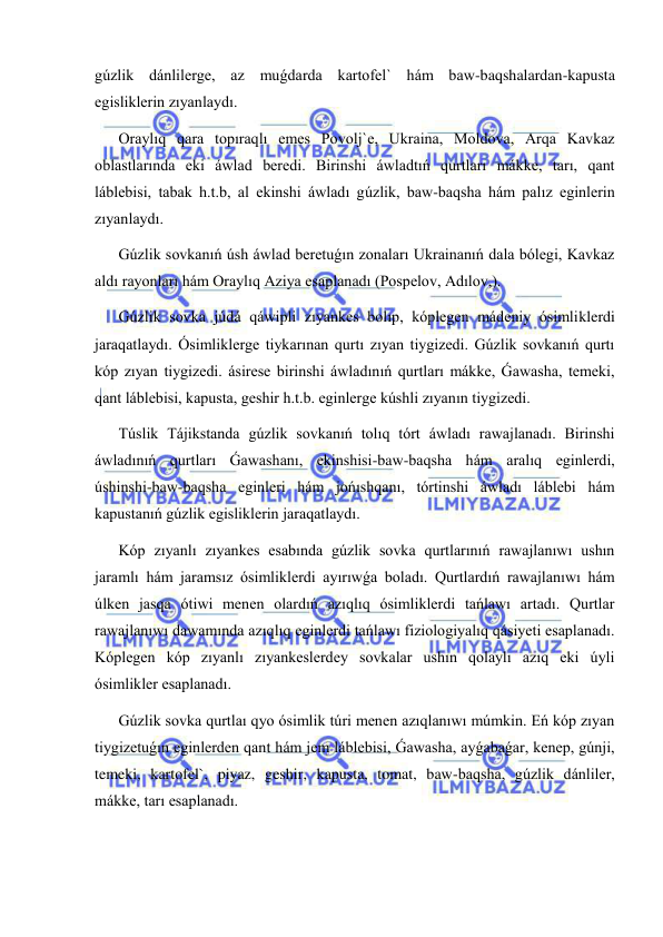  
 
gúzlik dánlilerge, az muǵdarda kartofel` hám baw-baqshalardan-kapusta 
egisliklerin zıyanlaydı. 
Oraylıq qara topıraqlı emes Povolj`e, Ukraina, Moldova, Arqa Kavkaz 
oblastlarında eki áwlad beredi. Birinshi áwladtıń qurtları mákke, tarı, qant 
láblebisi, tabak h.t.b, al ekinshi áwladı gúzlik, baw-baqsha hám palız eginlerin 
zıyanlaydı. 
Gúzlik sovkanıń úsh áwlad beretuǵın zonaları Ukrainanıń dala bólegi, Kavkaz 
aldı rayonları hám Oraylıq Aziya esaplanadı (Pospelov, Adılov,). 
Gúzlik sovka júdá qáwipli zıyankes bolıp, kóplegen mádeniy ósimliklerdi 
jaraqatlaydı. Ósimliklerge tiykarınan qurtı zıyan tiygizedi. Gúzlik sovkanıń qurtı 
kóp zıyan tiygizedi. ásirese birinshi áwladınıń qurtları mákke, Ǵawasha, temeki, 
qant láblebisi, kapusta, geshir h.t.b. eginlerge kúshli zıyanın tiygizedi. 
Túslik Tájikstanda gúzlik sovkanıń tolıq tórt áwladı rawajlanadı. Birinshi 
áwladınıń qurtları Ǵawashanı, ekinshisi-baw-baqsha hám aralıq eginlerdi, 
úshinshi-baw-baqsha eginleri hám jońıshqanı, tórtinshi áwladı láblebi hám 
kapustanıń gúzlik egisliklerin jaraqatlaydı.  
Kóp zıyanlı zıyankes esabında gúzlik sovka qurtlarınıń rawajlanıwı ushın 
jaramlı hám jaramsız ósimliklerdi ayırıwǵa boladı. Qurtlardıń rawajlanıwı hám 
úlken jasqa ótiwi menen olardıń azıqlıq ósimliklerdi tańlawı artadı. Qurtlar 
rawajlanıwı dawamında azıqlıq eginlerdi tańlawı fiziologiyalıq qásiyeti esaplanadı. 
Kóplegen kóp zıyanlı zıyankeslerdey sovkalar ushın qolaylı azıq eki úyli 
ósimlikler esaplanadı. 
Gúzlik sovka qurtlaı qyo ósimlik túri menen azıqlanıwı múmkin. Eń kóp zıyan 
tiygizetuǵın eginlerden qant hám jem láblebisi, Ǵawasha, ayǵabaǵar, kenep, gúnji, 
temeki, kartofel`, piyaz, geshir, kapusta, tomat, baw-baqsha, gúzlik dánliler, 
mákke, tarı esaplanadı. 
