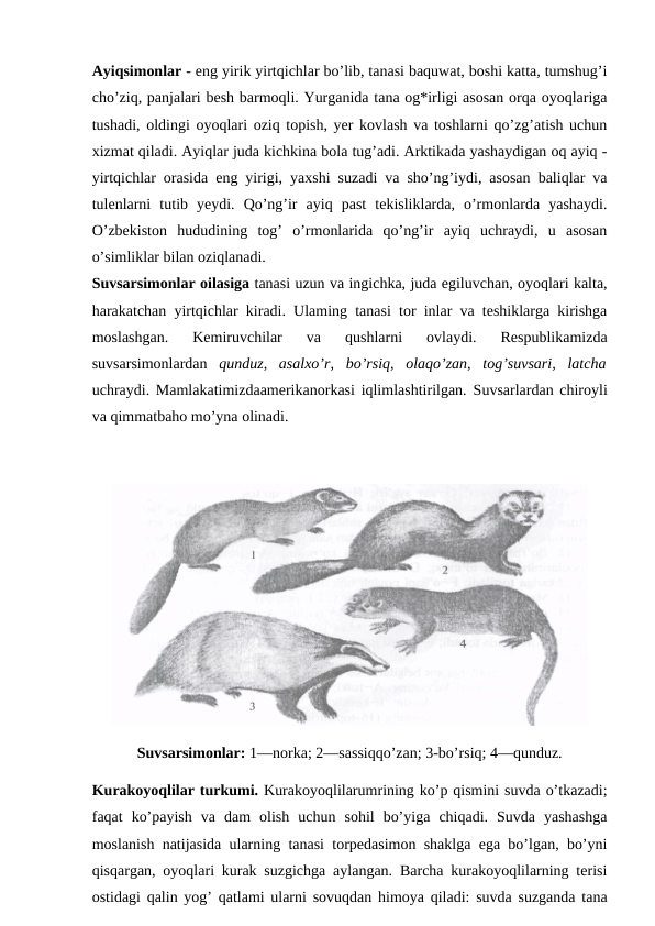 Ayiqsimonlar - eng yirik yirtqichlar bo’lib, tanasi baquwat, boshi katta, tumshug’i
cho’ziq, panjalari besh barmoqli. Yurganida tana og*irligi asosan orqa oyoqlariga
tushadi, oldingi oyoqlari oziq topish, yer kovlash va toshlarni qo’zg’atish uchun
xizmat qiladi. Ayiqlar juda kichkina bola tug’adi. Arktikada yashaydigan oq ayiq -
yirtqichlar orasida eng yirigi, yaxshi suzadi va sho’ng’iydi, asosan baliqlar va
tulenlarni  tutib  yeydi.  Qo’ng’ir  ayiq  past  tekisliklarda,  o’rmonlarda  yashaydi.
O’zbekiston  hududining  tog’  o’rmonlarida  qo’ng’ir  ayiq  uchraydi,  u  asosan
o’simliklar bilan oziqlanadi.
Suvsarsimonlar oilasiga tanasi uzun va ingichka, juda egiluvchan, oyoqlari kalta,
harakatchan yirtqichlar kiradi. Ulaming tanasi tor inlar va teshiklarga kirishga
moslashgan.  Kemiruvchilar  va  qushlarni  ovlaydi.  Respublikamizda
suvsarsimonlardan  qunduz,  asalxo’r,  bo’rsiq,  olaqo’zan,  tog’suvsari,  latcha
uchraydi. Mamlakatimizdaamerikanorkasi iqlimlashtirilgan.  Suvsarlardan chiroyli
va qimmatbaho mo’yna olinadi.
Suvsarsimonlar: 1—norka; 2—sassiqqo’zan; 3-bo’rsiq; 4—qunduz.
Kurakoyoqlilar turkumi. Kurakoyoqlilarumrining ko’p qismini suvda o’tkazadi;
faqat  ko’payish  va  dam  olish  uchun  sohil  bo’yiga  chiqadi.  Suvda  yashashga
moslanish natijasida ularning tanasi torpedasimon shaklga ega bo’lgan, bo’yni
qisqargan, oyoqlari kurak suzgichga aylangan. Barcha kurakoyoqlilarning terisi
ostidagi qalin yog’ qatlami ularni sovuqdan himoya qiladi: suvda suzganda tana
