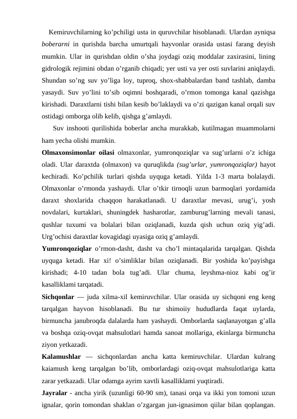    Kemiruvchilarning ko’pchiligi usta in quruvchilar hisoblanadi. Ulardan ayniqsa
boberarni  in qurishda barcha umurtqali hayvonlar orasida ustasi farang deyish
mumkin. Ular in qurishdan oldin o’sha joydagi oziq moddalar zaxirasini, lining
gidrologik rejimini obdan o’rganib chiqadi; yer usti va yer osti suvlarini aniqlaydi.
Shundan so’ng suv yo’liga loy, tuproq, shox-shabbalardan band tashlab, damba
yasaydi. Suv yo’lini to’sib oqimni boshqaradi, o’rmon tomonga kanal qazishga
kirishadi. Daraxtlarni tishi bilan kesib bo’laklaydi va o’zi qazigan kanal orqali suv
ostidagi omborga olib kelib, qishga g’amlaydi.
    Suv inshooti qurilishida boberlar ancha murakkab, kutilmagan muammolarni
ham yecha olishi mumkin.
Olmaxonsimonlar oilasi  olmaxonlar, yumronqoziqlar va sug’urlarni o’z ichiga
oladi. Ular daraxtda (olmaxon) va quruqlikda  (sug’urlar, yumronqoziqlar)  hayot
kechiradi. Ko’pchilik turlari qishda uyquga ketadi. Yilda 1-3 marta bolalaydi.
Olmaxonlar o’rmonda yashaydi. Ular o’tkir tirnoqli uzun barmoqlari yordamida
daraxt  shoxlarida  chaqqon  harakatlanadi.  U  daraxtlar  mevasi,  urug’i,  yosh
novdalari,  kurtaklari,  shuningdek  hasharotlar,  zamburug’larning  mevali  tanasi,
qushlar  tuxumi  va  bolalari  bilan  oziqlanadi,  kuzda  qish  uchun  oziq  yig’adi.
Urg’ochisi daraxtlar kovagidagi uyasiga oziq g’amlaydi.
Yumronqoziqlar  o’rmon-dasht, dasht va cho’l mintaqalarida tarqalgan. Qishda
uyquga  ketadi.  Har  xi!  o’simliklar  bilan  oziqlanadi.  Bir  yoshida  ko’payishga
kirishadi;  4-10  tadan  bola  tug’adi.  Ular  chuma,  leyshma-nioz  kabi  og’ir
kasalliklami tarqatadi.
Sichqonlar  — juda xilma-xil kemiruvchilar. Ular orasida uy sichqoni eng keng
tarqalgan  hayvon  hisoblanadi.  Bu  tur  shimoiiy  hududlarda  faqat  uylarda,
birmuncha janubroqda dalalarda ham yashaydi. Omborlarda saqlanayotgan g’alla
va boshqa oziq-ovqat mahsulotlari hamda sanoat mollariga, ekinlarga birmuncha
ziyon yetkazadi.
Kalamushlar  —  sichqonlardan  ancha  katta  kemiruvchilar.  Ulardan  kulrang
kaiamush keng tarqalgan bo’lib, omborlardagi  oziq-ovqat  mahsulotlariga katta
zarar yetkazadi. Ular odamga ayrim xavtli kasalliklami yuqtiradi.
Jayralar - ancha yirik (uzunligi 60-90 sm), tanasi orqa va ikki yon tomoni uzun
ignalar, qorin tomondan shaklan o’zgargan jun-ignasimon qiilar bilan qoplangan.
